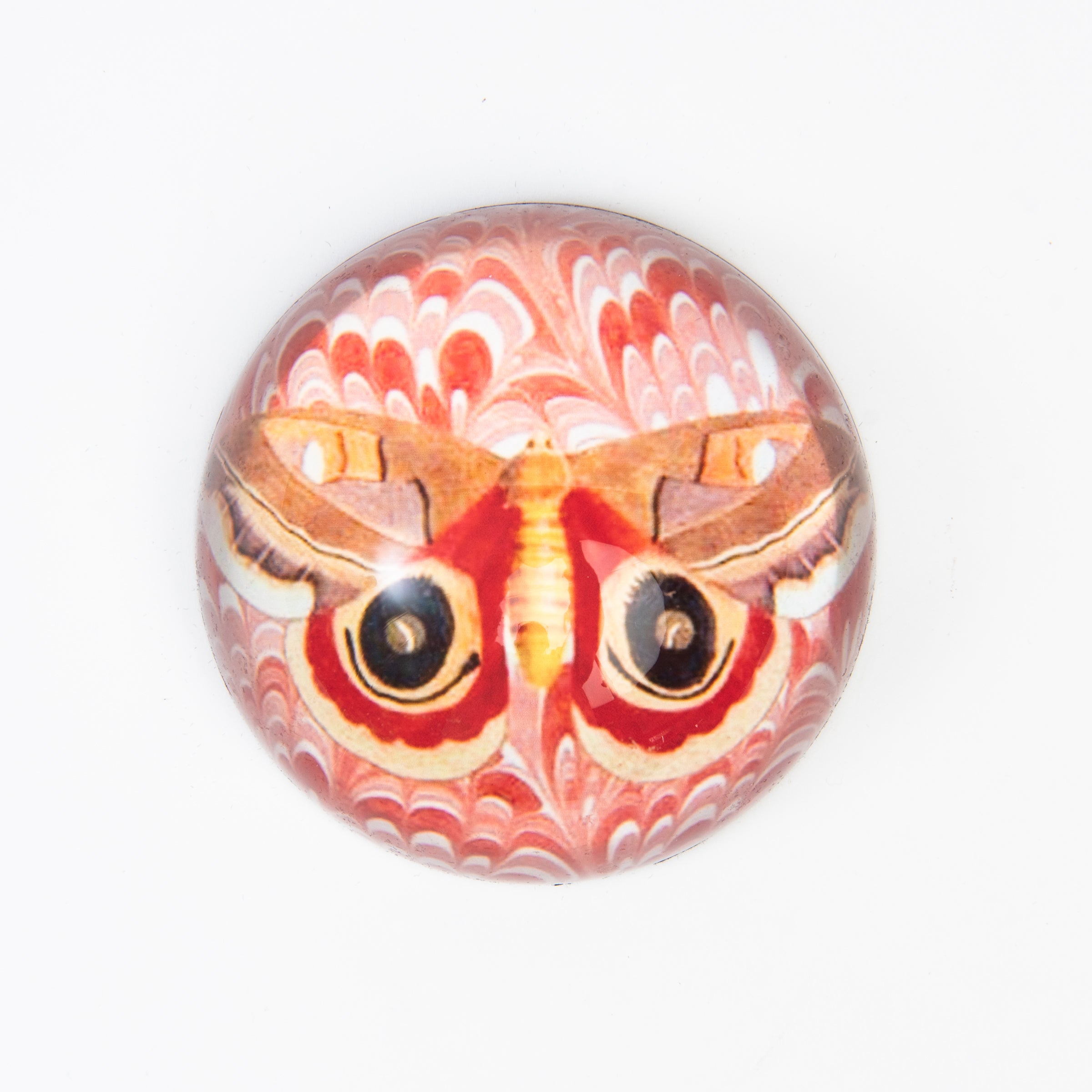 Red Moth Paperweight on a white background at Addison West