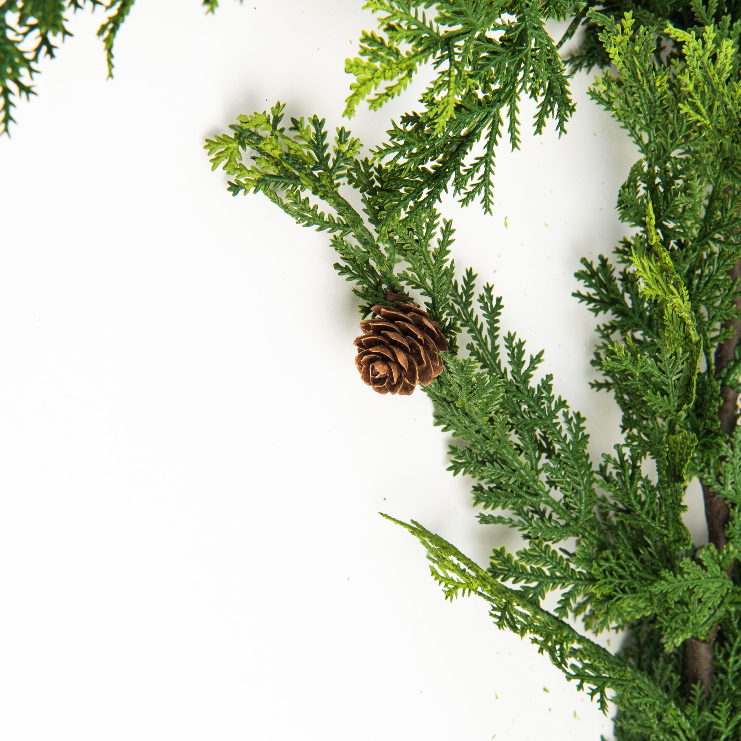65" Cypress Garland on a white background at Addison West
