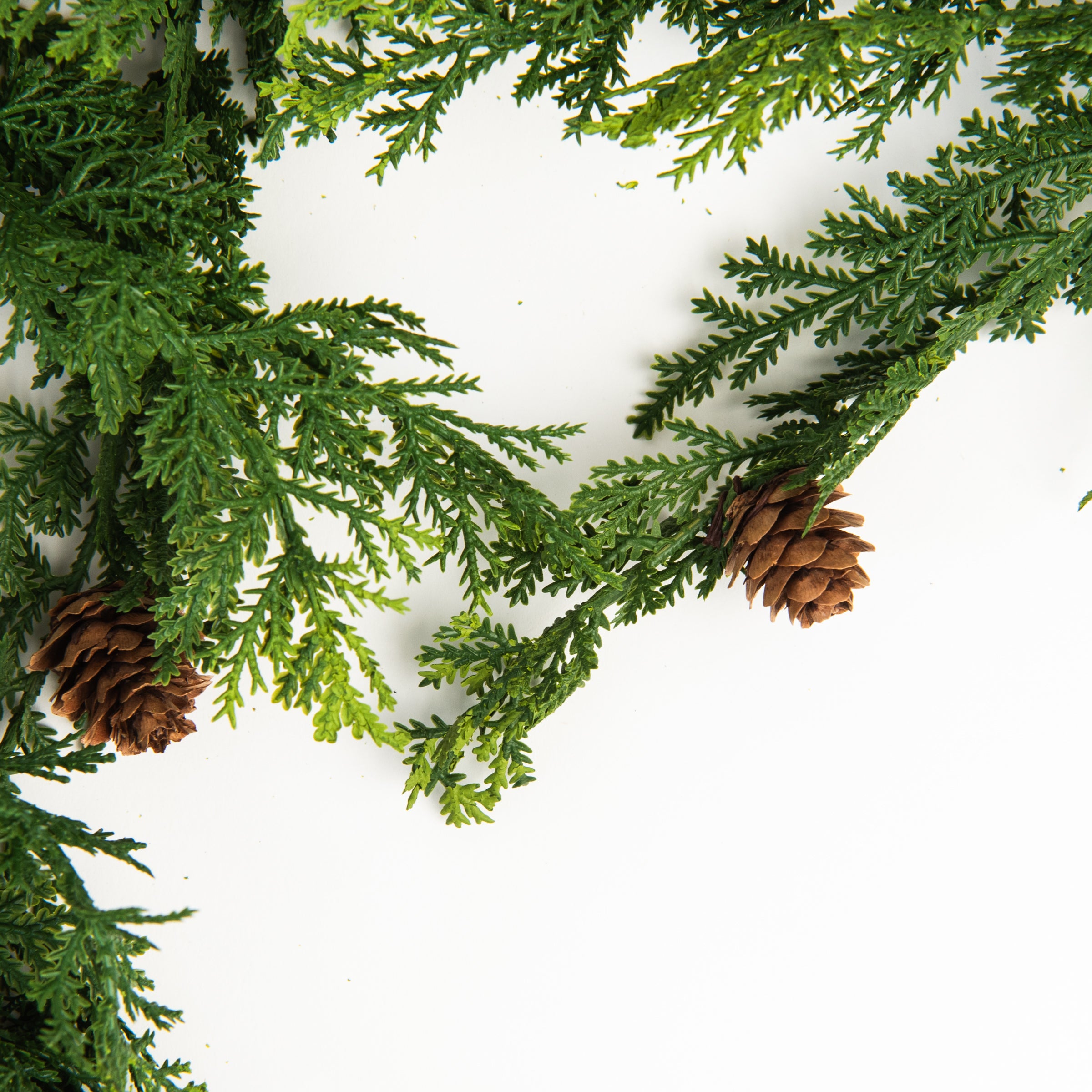 65" Cypress Garland on a white background at Addison West