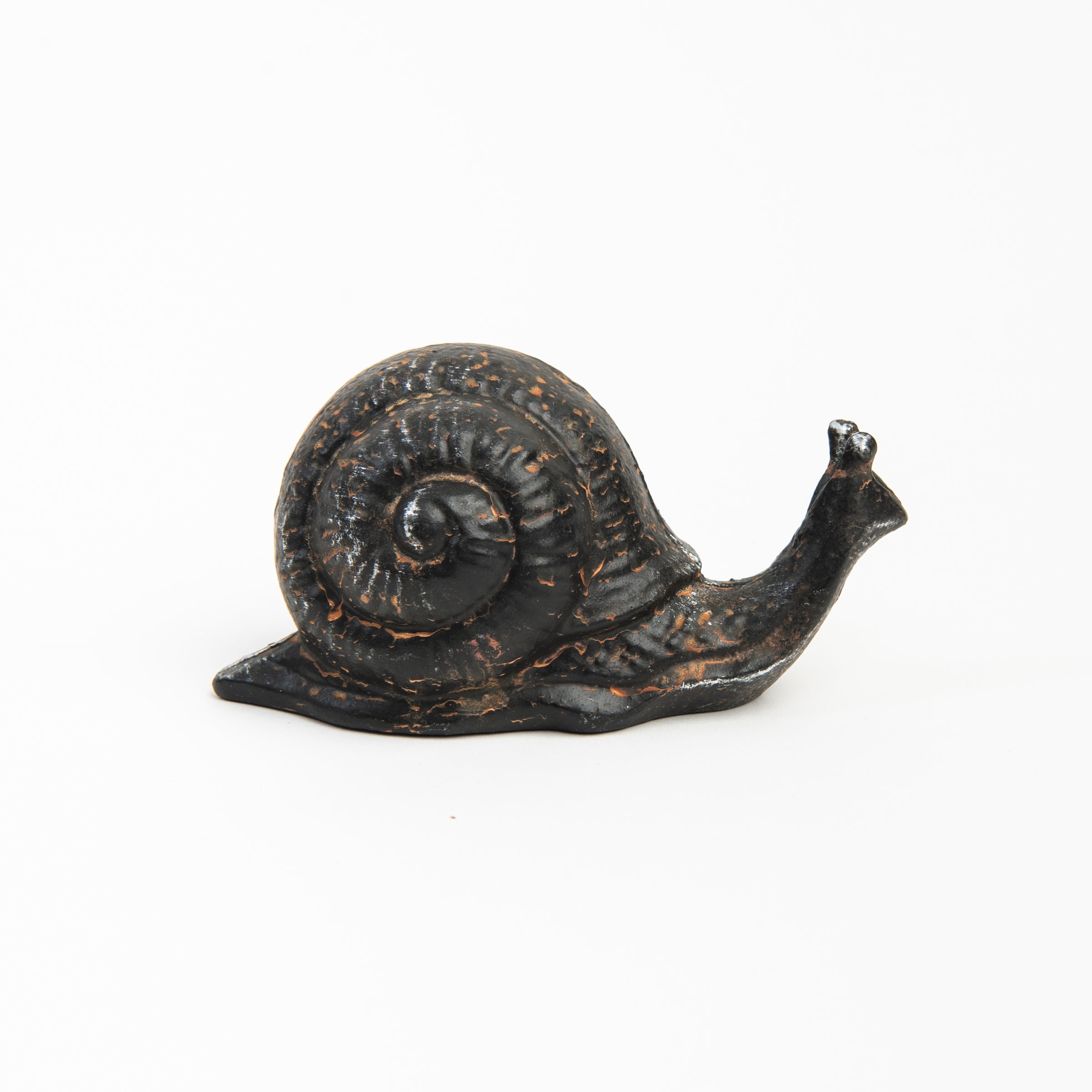 Cast Iron Snail on a white background at Addison West