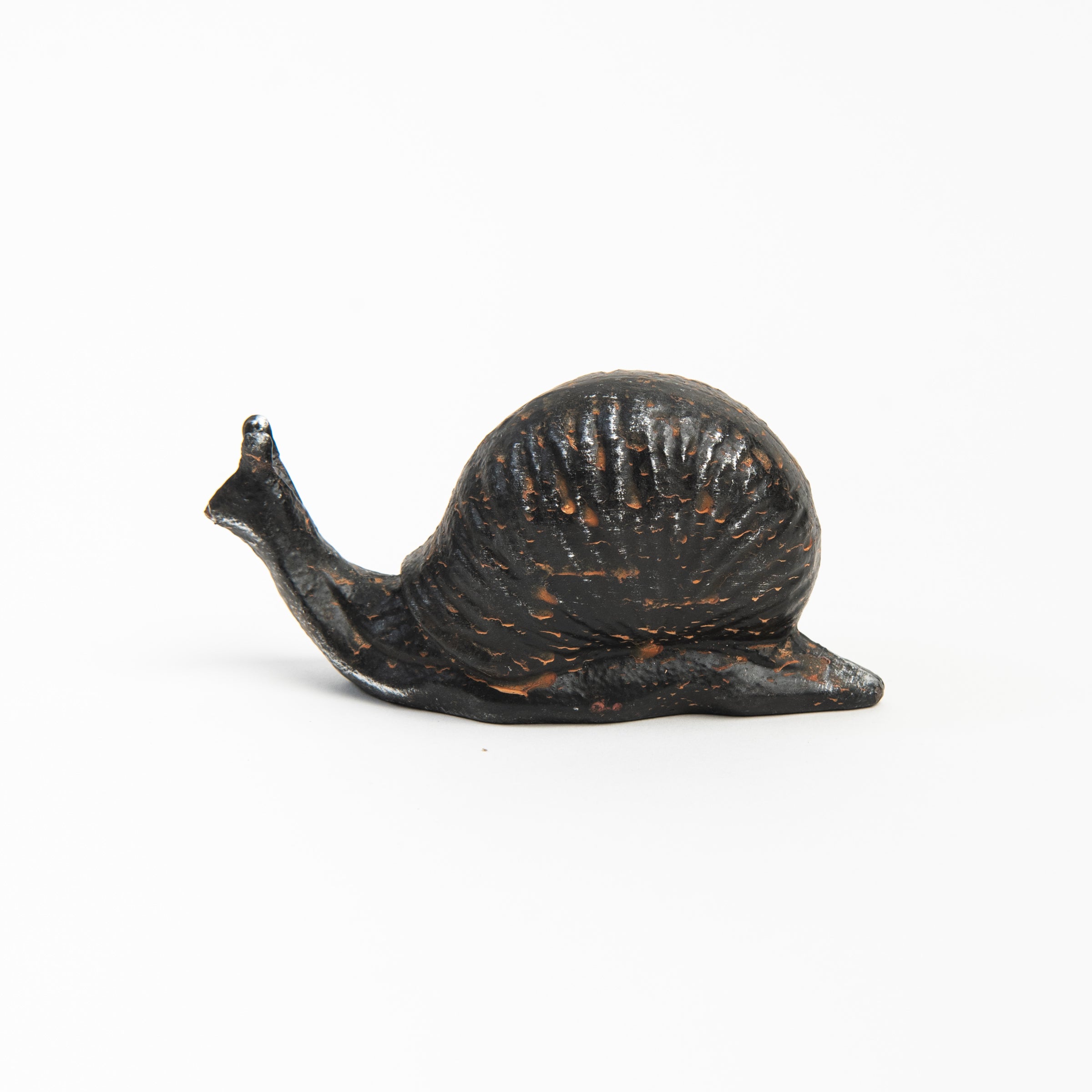 Cast Iron Snail on a white background at Addison West