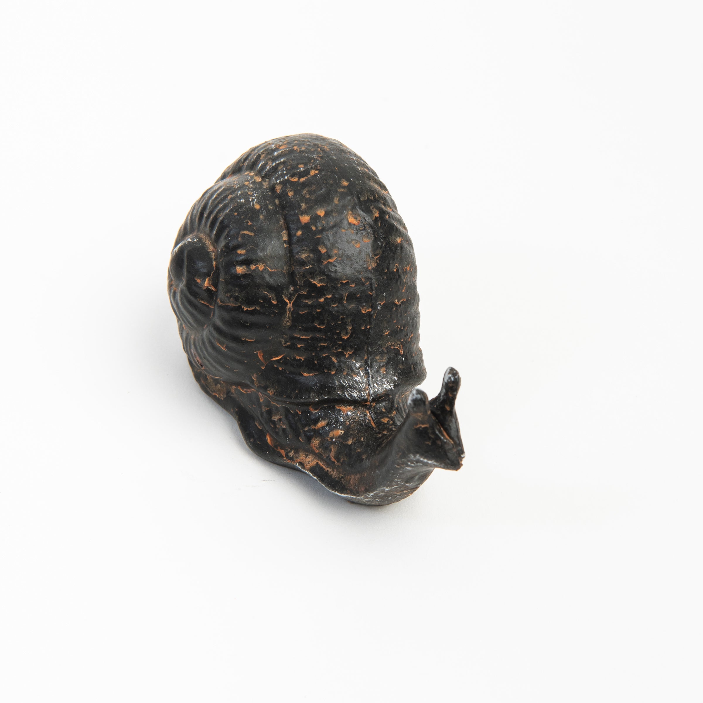 Cast Iron Snail on a white background at Addison West