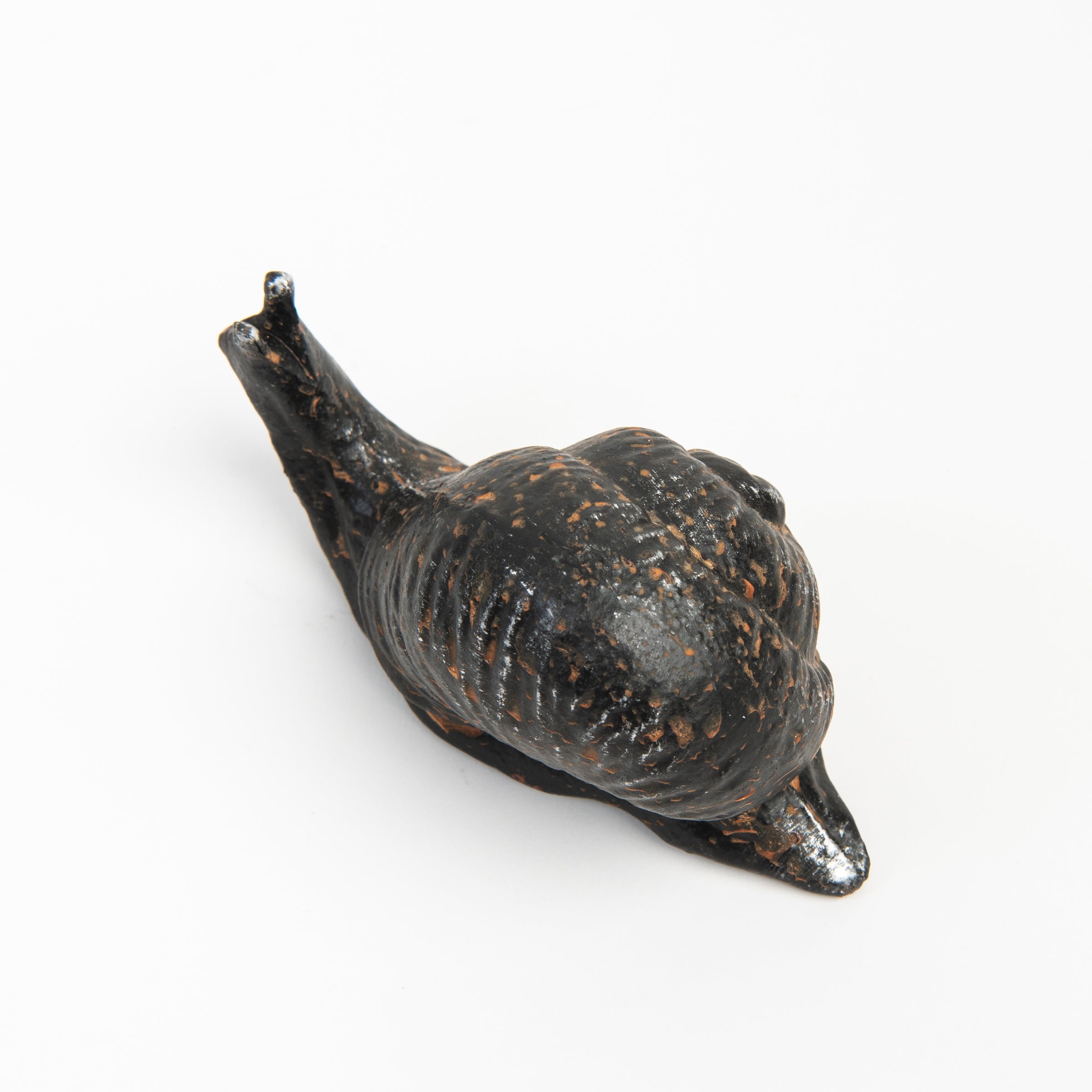 Cast Iron Snail on a white background at Addison West