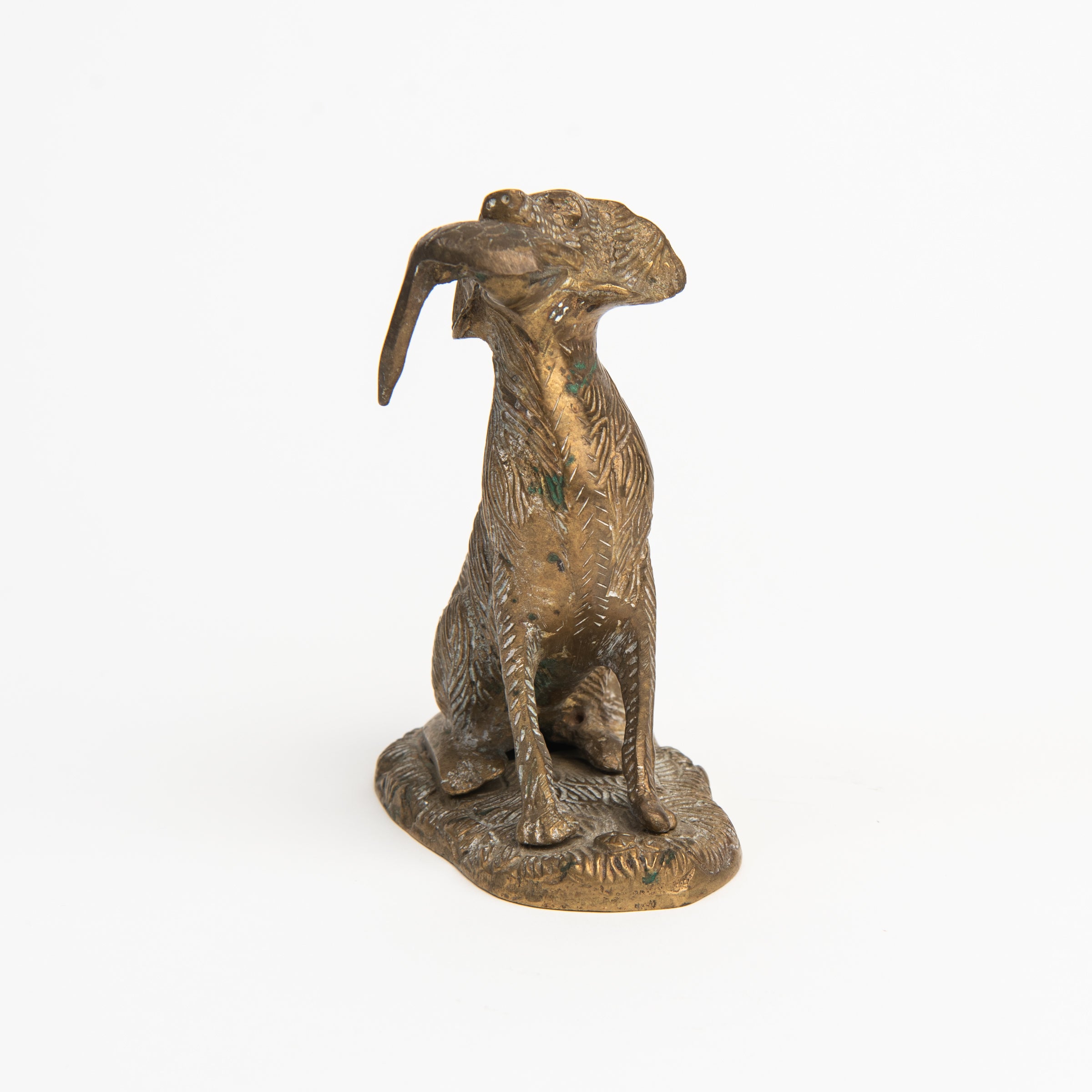 Vintage Brass Hunting Dog on a white background at Addison West