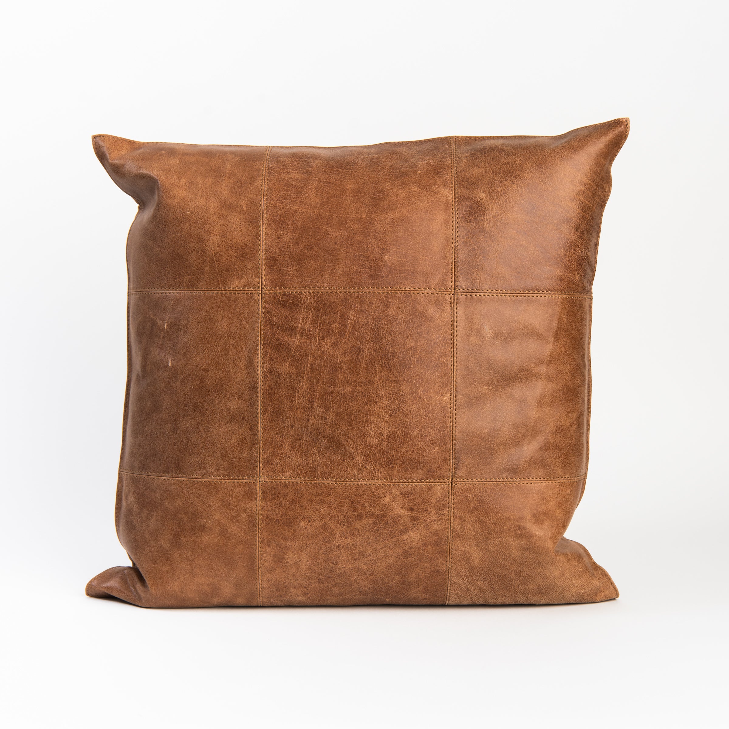 Dania Leather Pillow on a white background at Addison West
