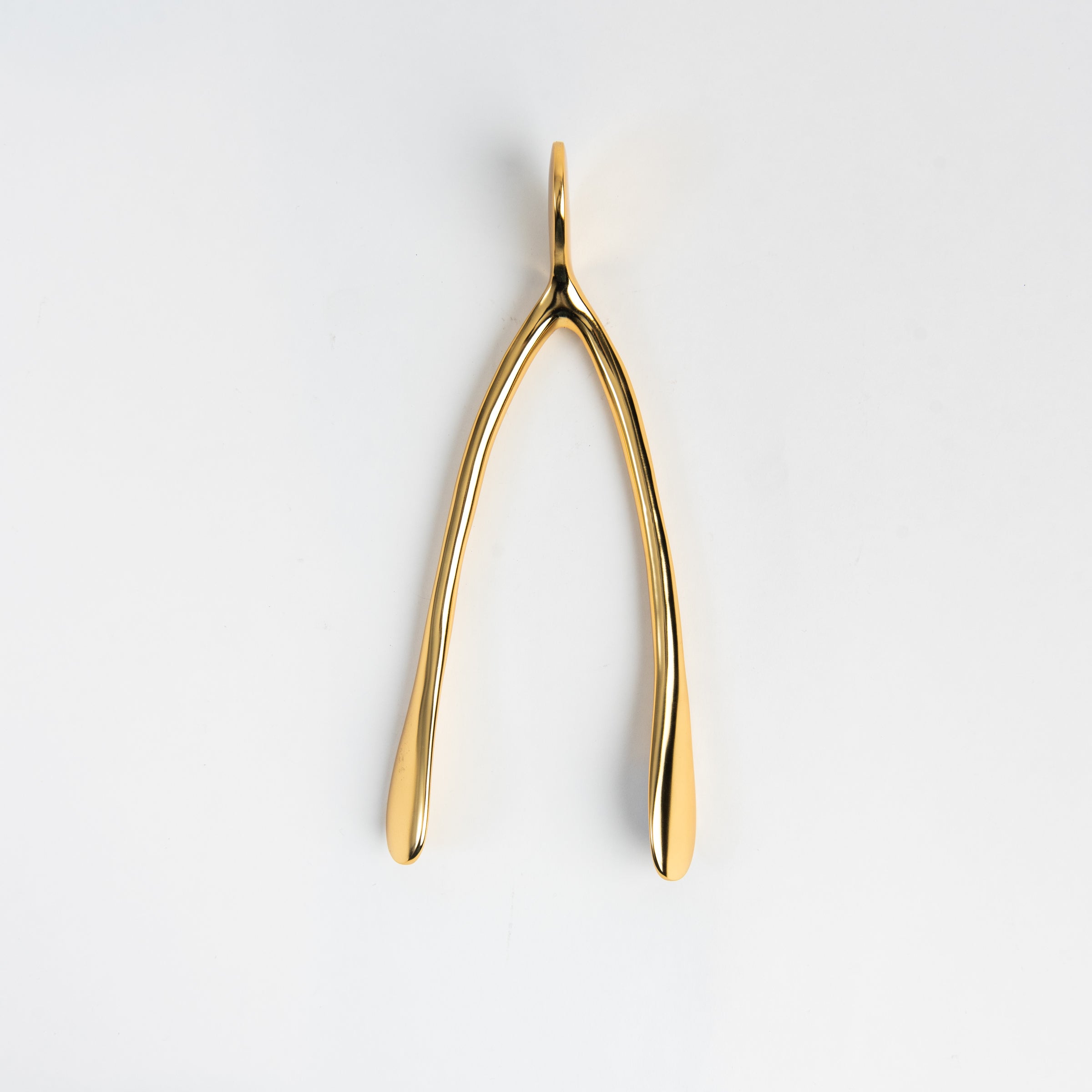 Large Gold Wishbone on a white background at Addison West