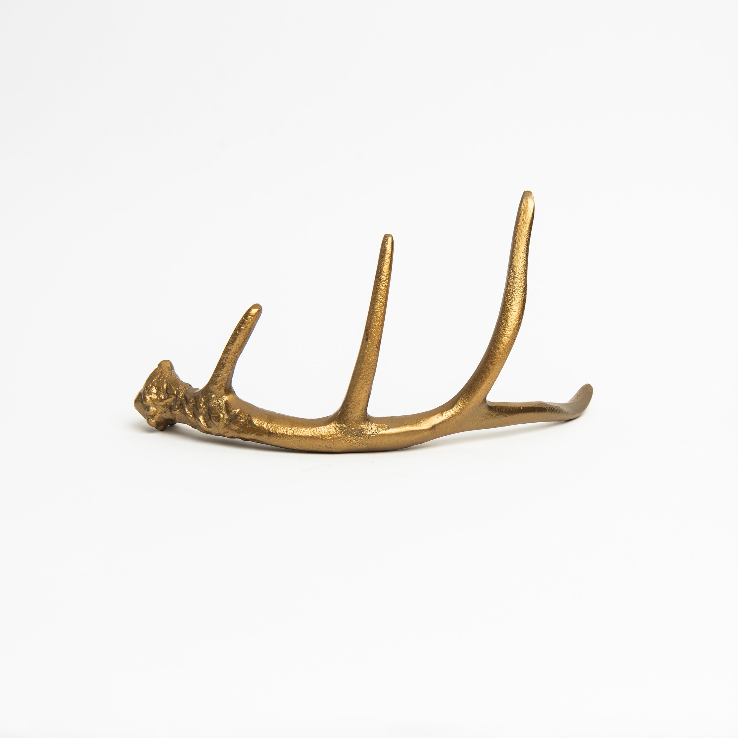 Antique Gold Antler on a white background at Addison West