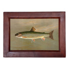 American Brook Trout Framed Print on a white background