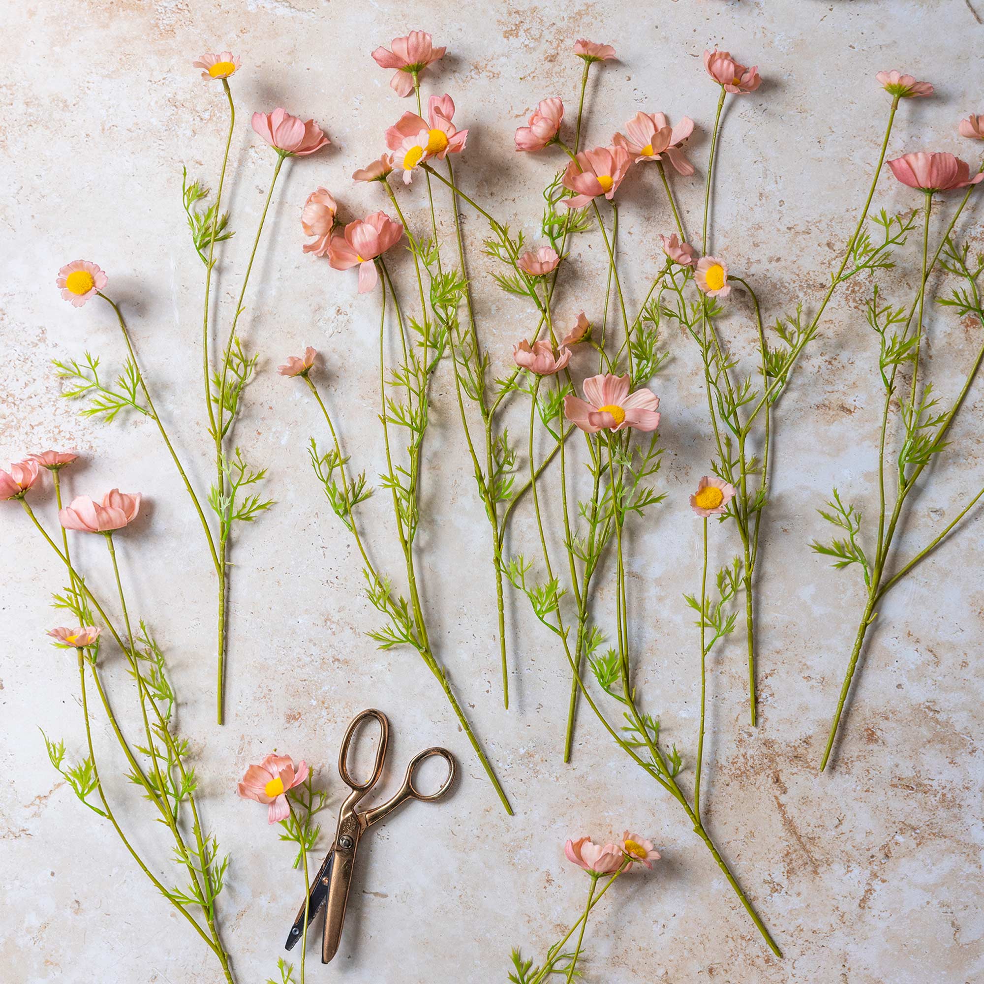 Abigail Ahern Artificial Cosmos Medow in Soft Pink on a beige background at Addison West