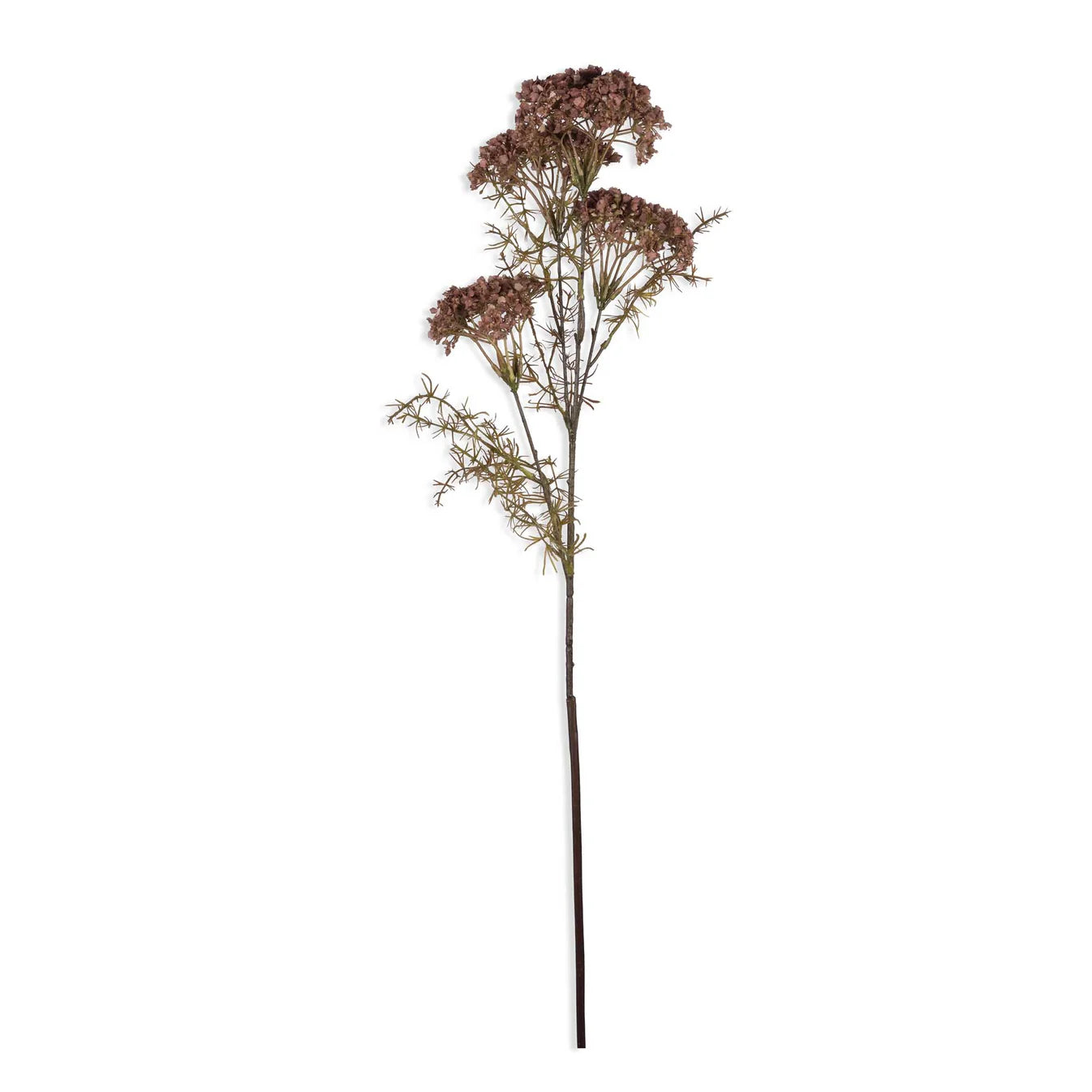 Abigail Ahern Faux Dill Flower on a white background at Addison West