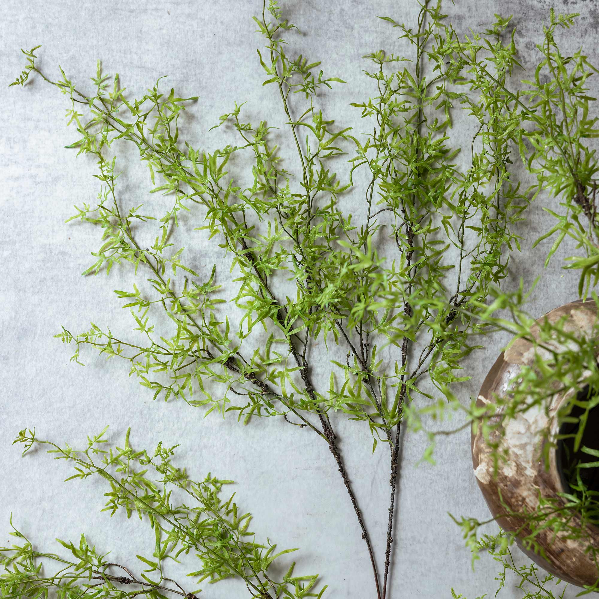 Abigail Ahern Faux Fern Branch in Soft Green on a grey background at Addison West