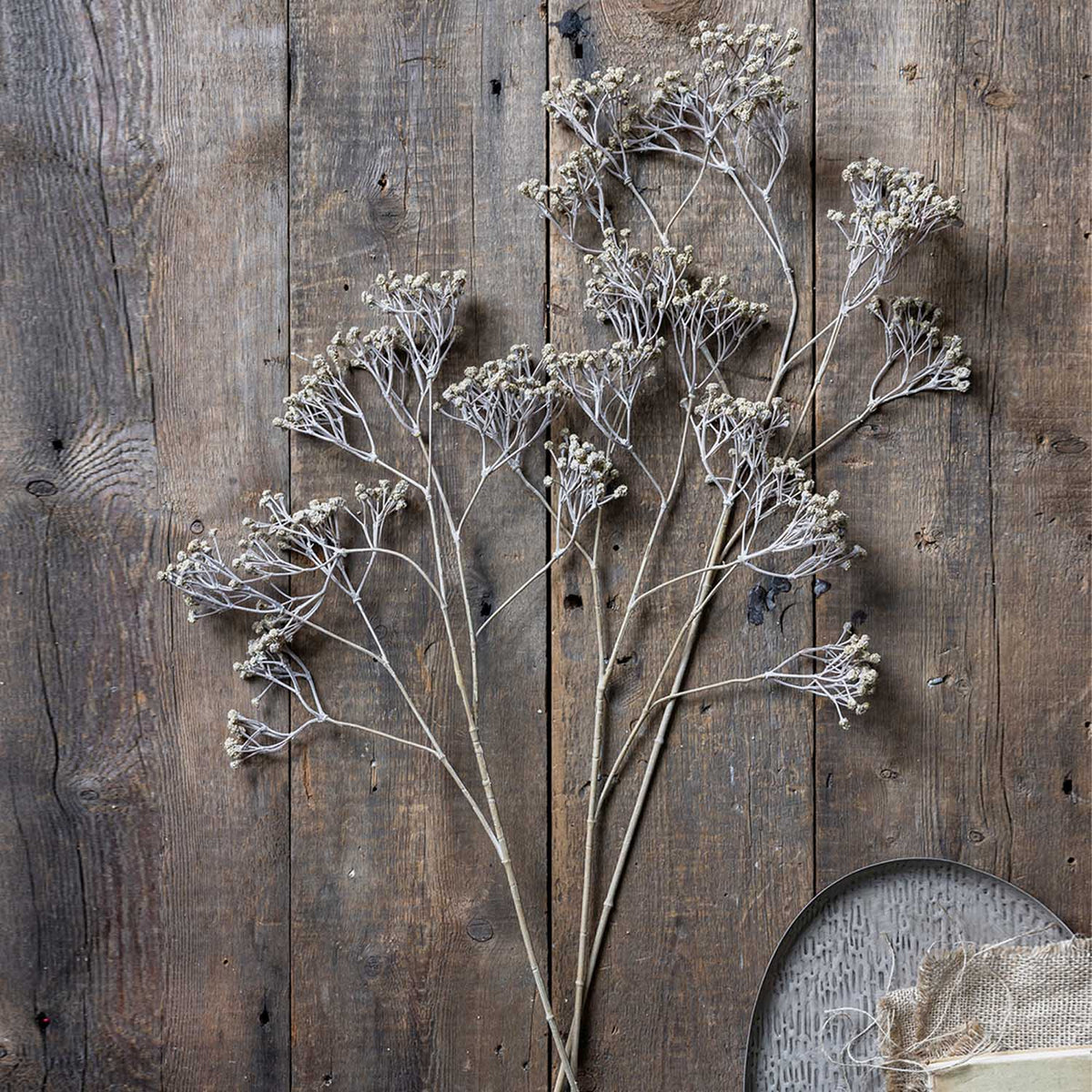 Abigail Ahern Faux Gypsophila Spray on a grey background at Addison West