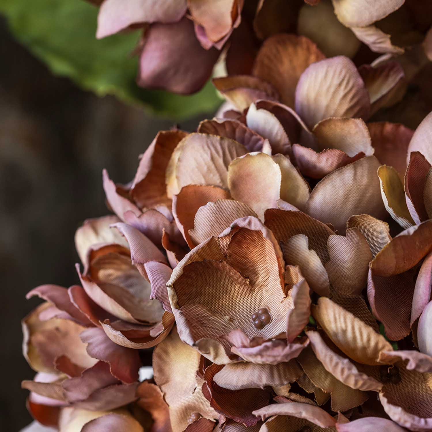 Abigail Ahern Faux Hydrangea in Antique Pink on a grey background at Addison West