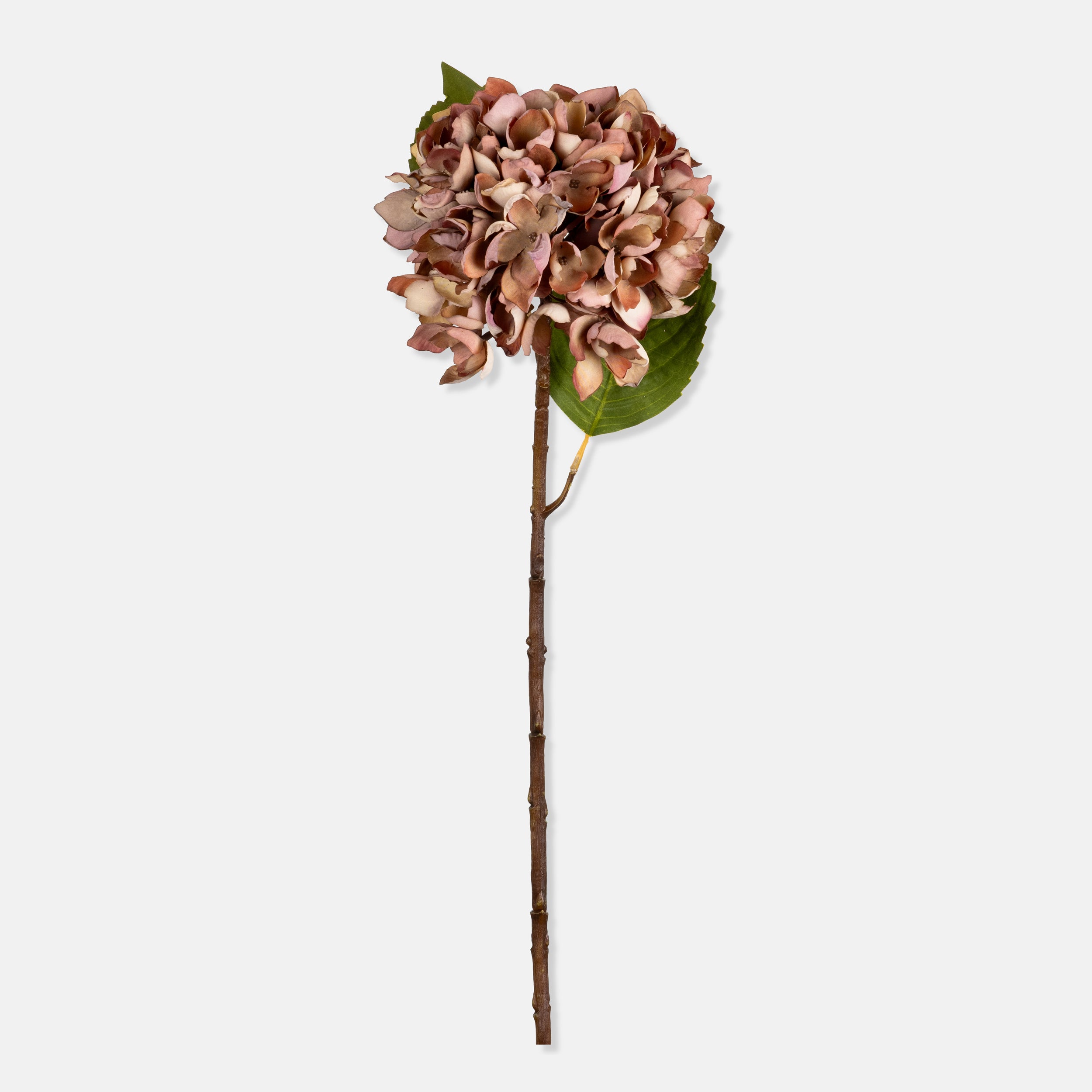Abigail Ahern Faux Hydrangea in Antique Pink on a white background at Addison West
