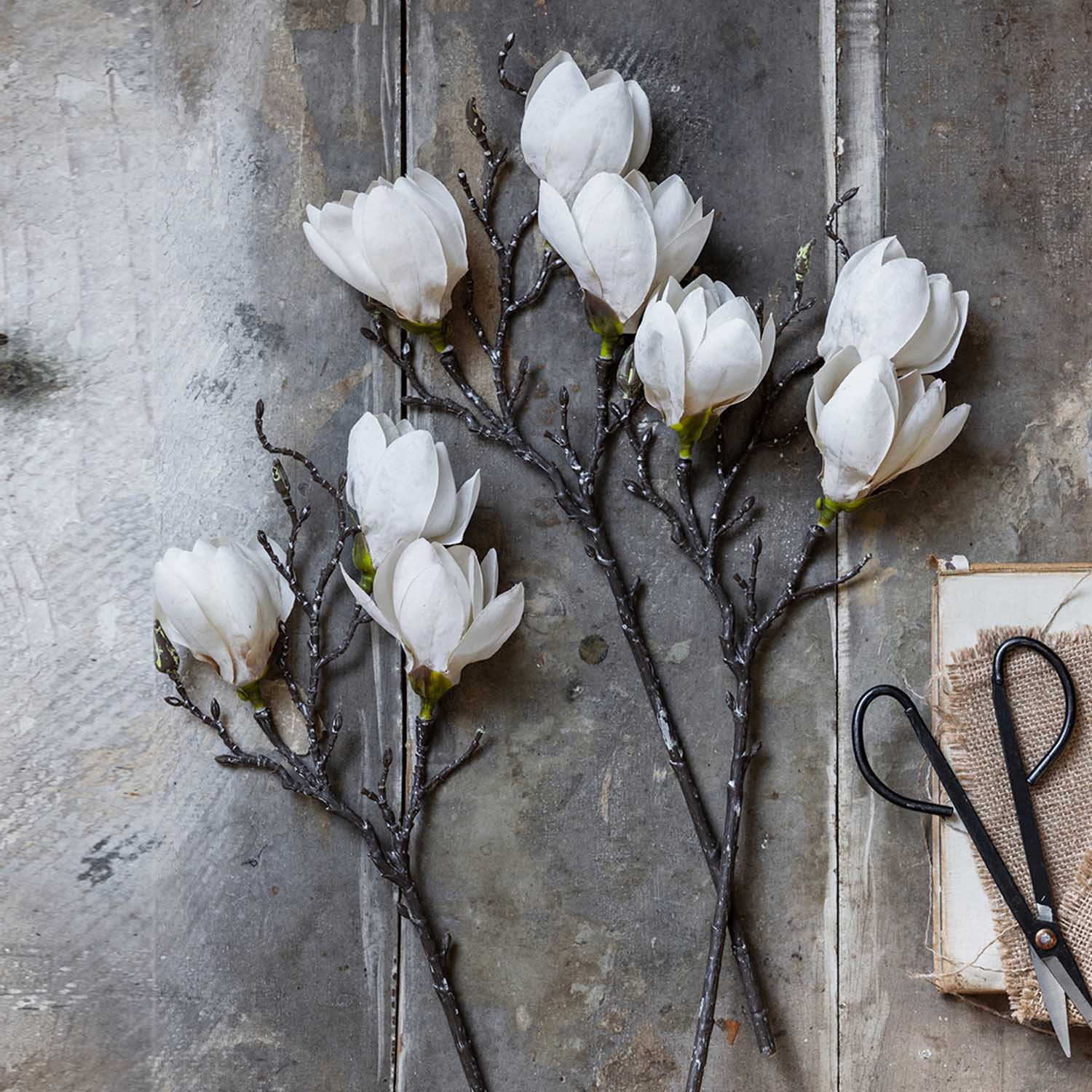 Abigail Ahern Faux Magnolia on a grey background at Addison West