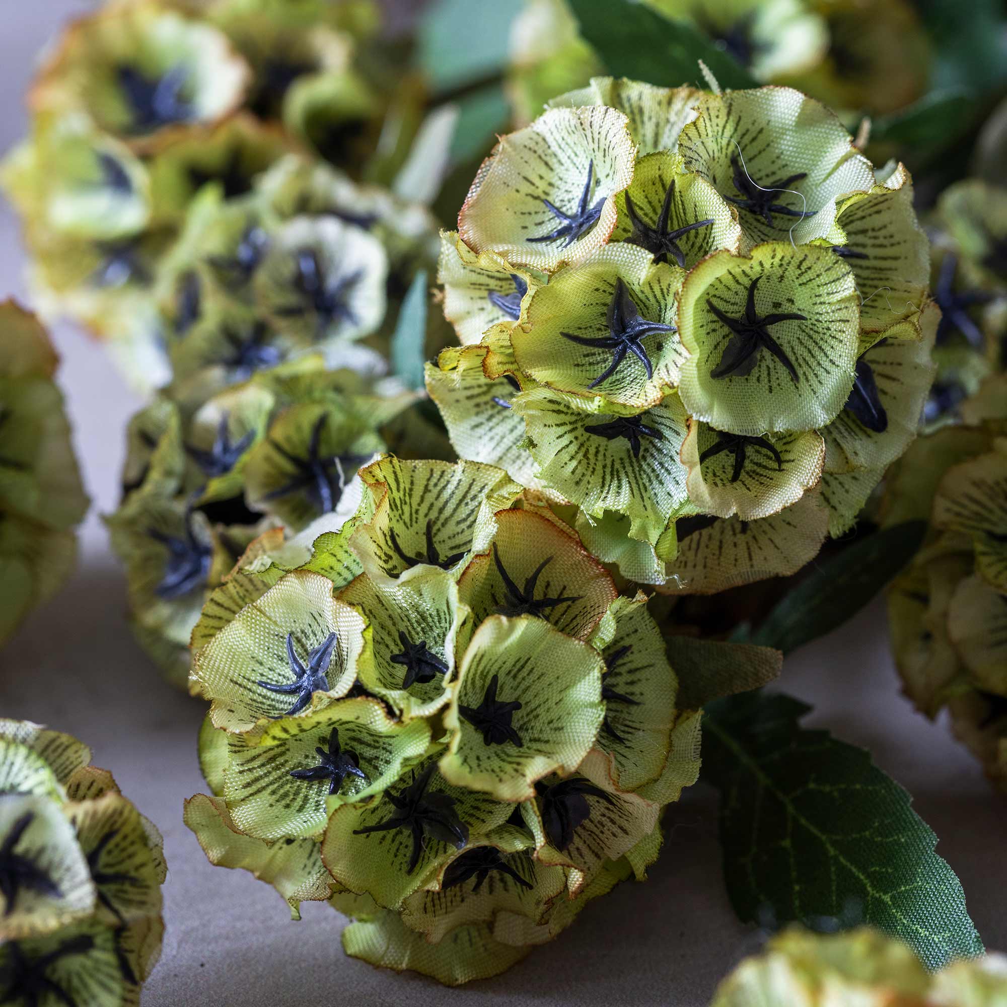 Close up of Abigail Ahern Faux Scabiosa on a beige background at Addison West