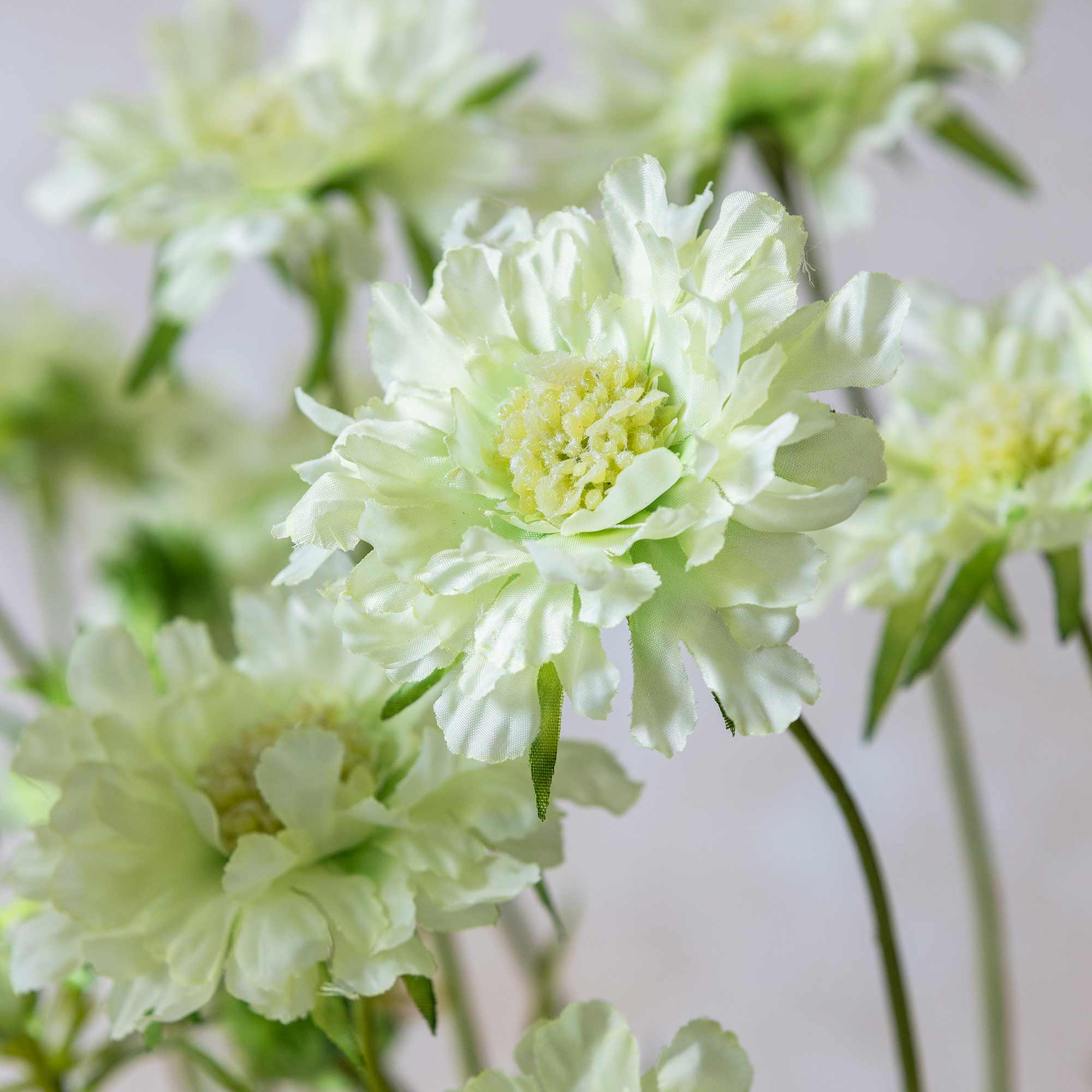 Close up of Abigail Ahern Faux Scabious Flower in Cream on a beige background at Addison West
