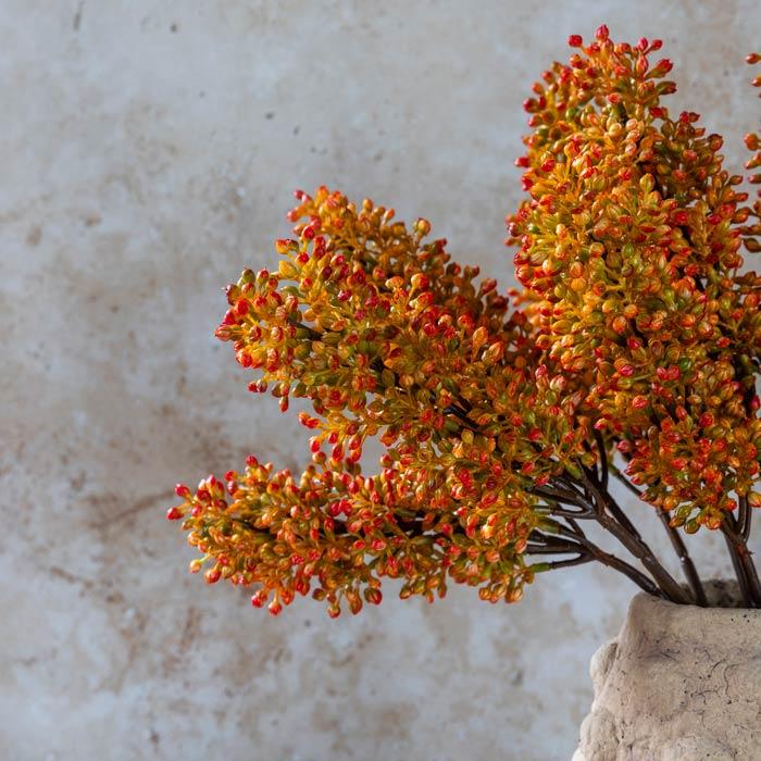 Abigail Ahern Artificial Sorghum Stem in Sunset on a beige background at Addison West