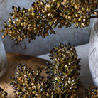 Abigail Ahern Faux Sorghum Stem in Umber on a grey background at Addison West
