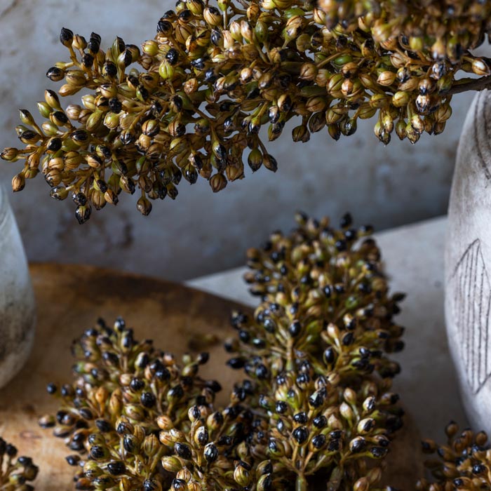 Abigail Ahern Faux Sorghum Stem in Umber on a grey background at Addison West