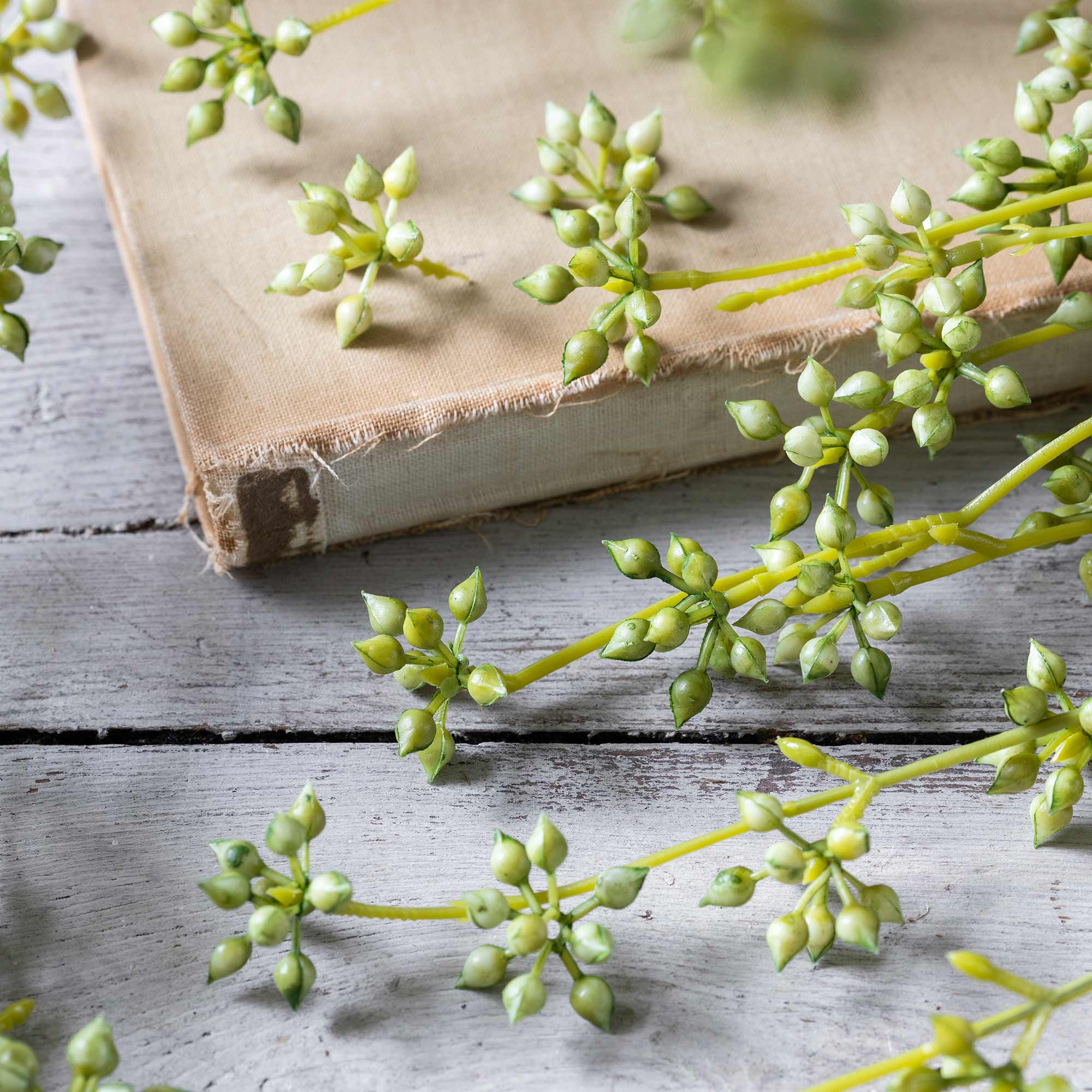Close up of Abigail Ahern Faux Succulent Branch in Green on a table at Addison West
