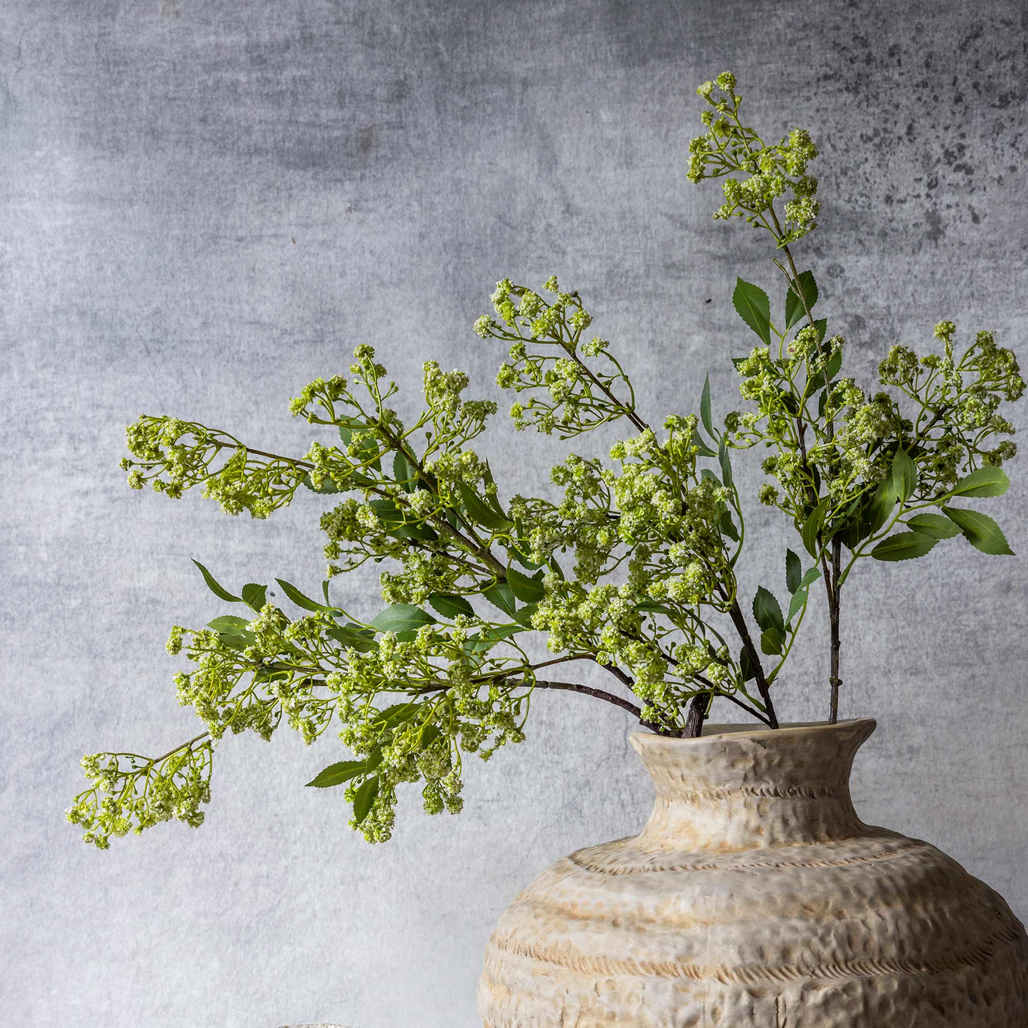 Abigail Ahern Faux Summer Garden Branch on a grey background at Addison West