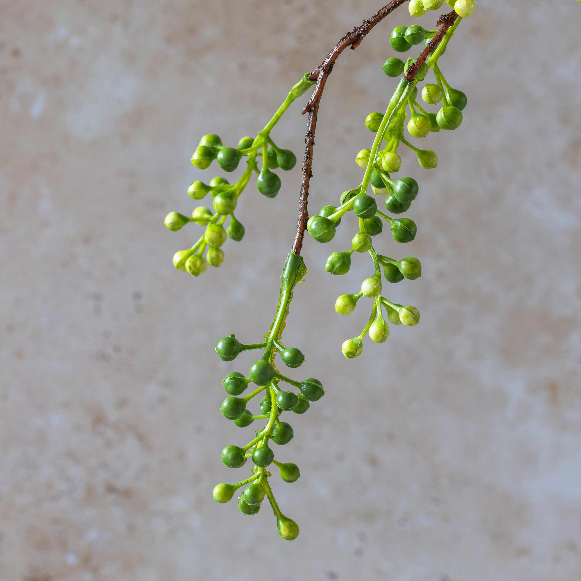 Close up of Abigail Ahern Faux Viburnum Branch on a beige background at Addison West