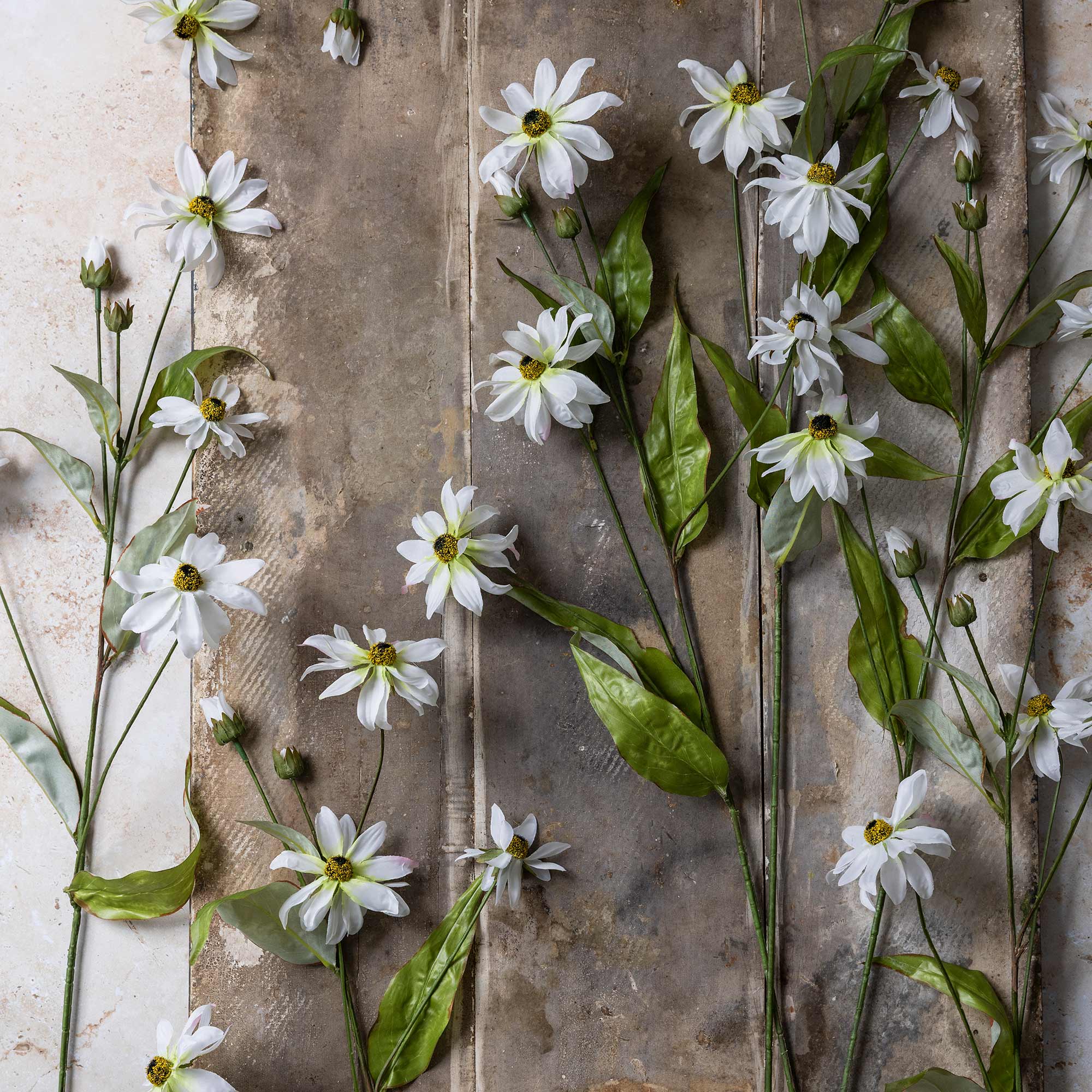 Abigail Ahern Faux Wild Cosmos on a grey background at Addison West