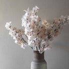 Abigail Ahern Faux Bougainvillea in Blush on a grey background at Addison West