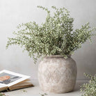 Abigail Ahern Faux Heather in Sage in a pot at Addison West