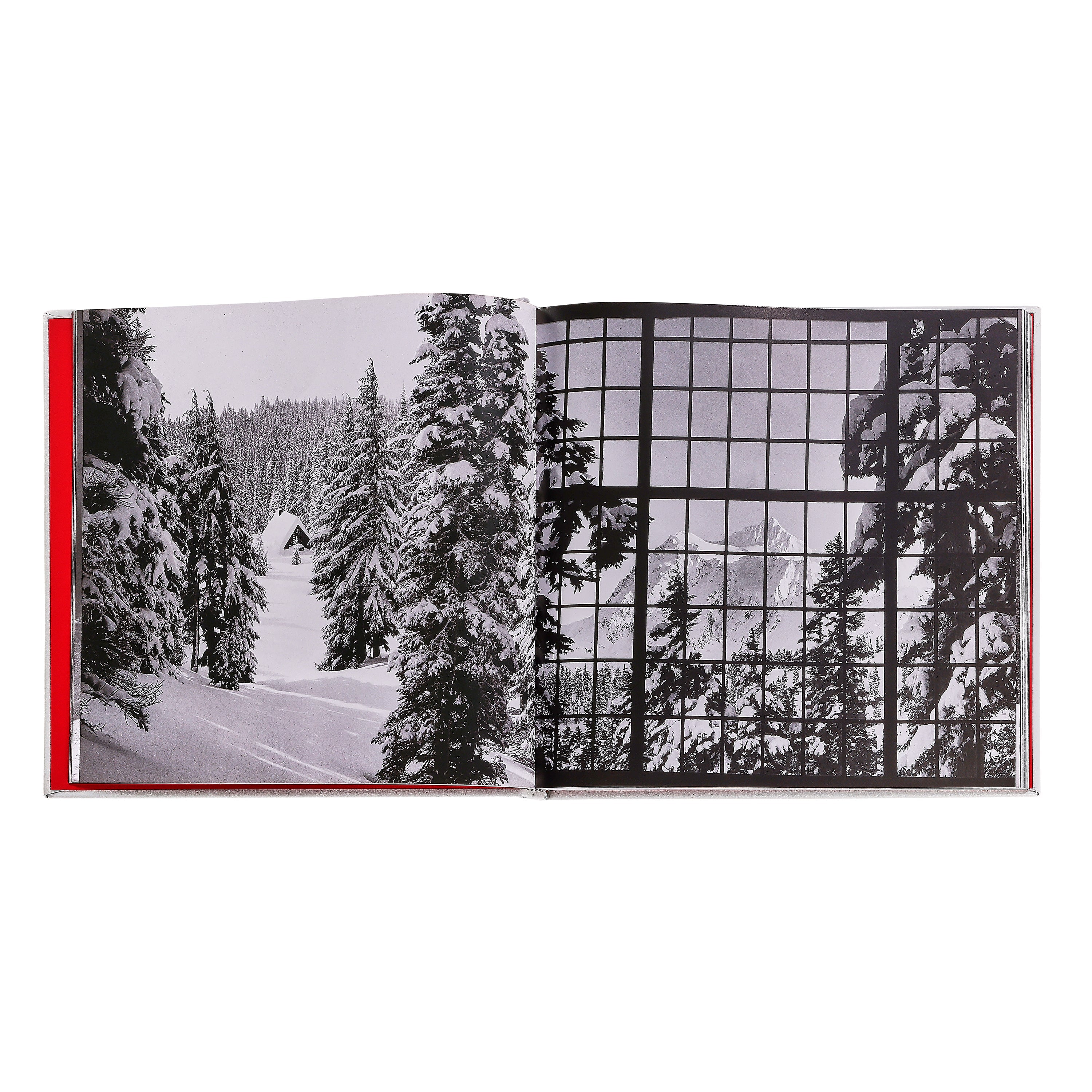 Vintage Skiing Leather Bound Edition on white background at Addison West.