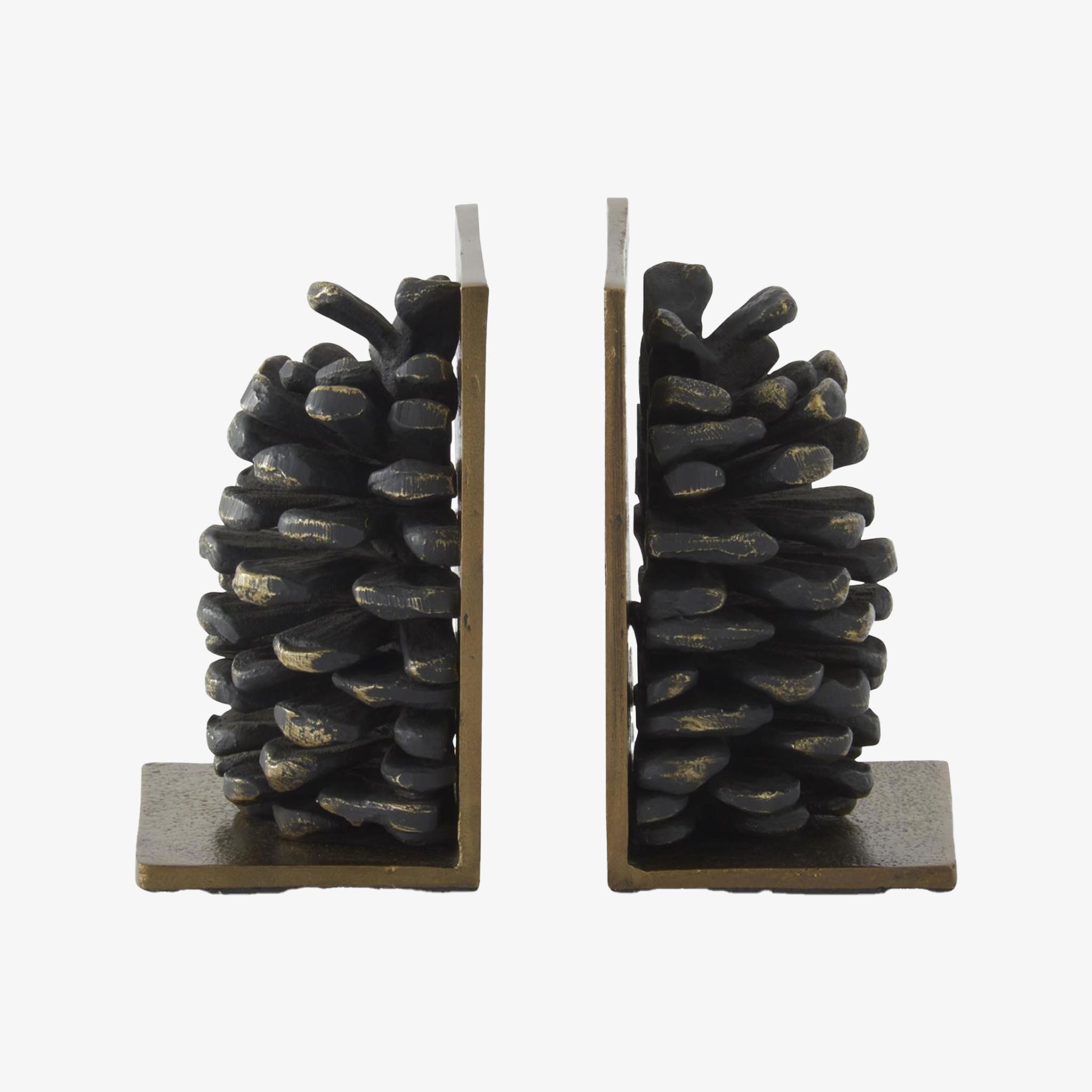 Pine cone bookends on a white background