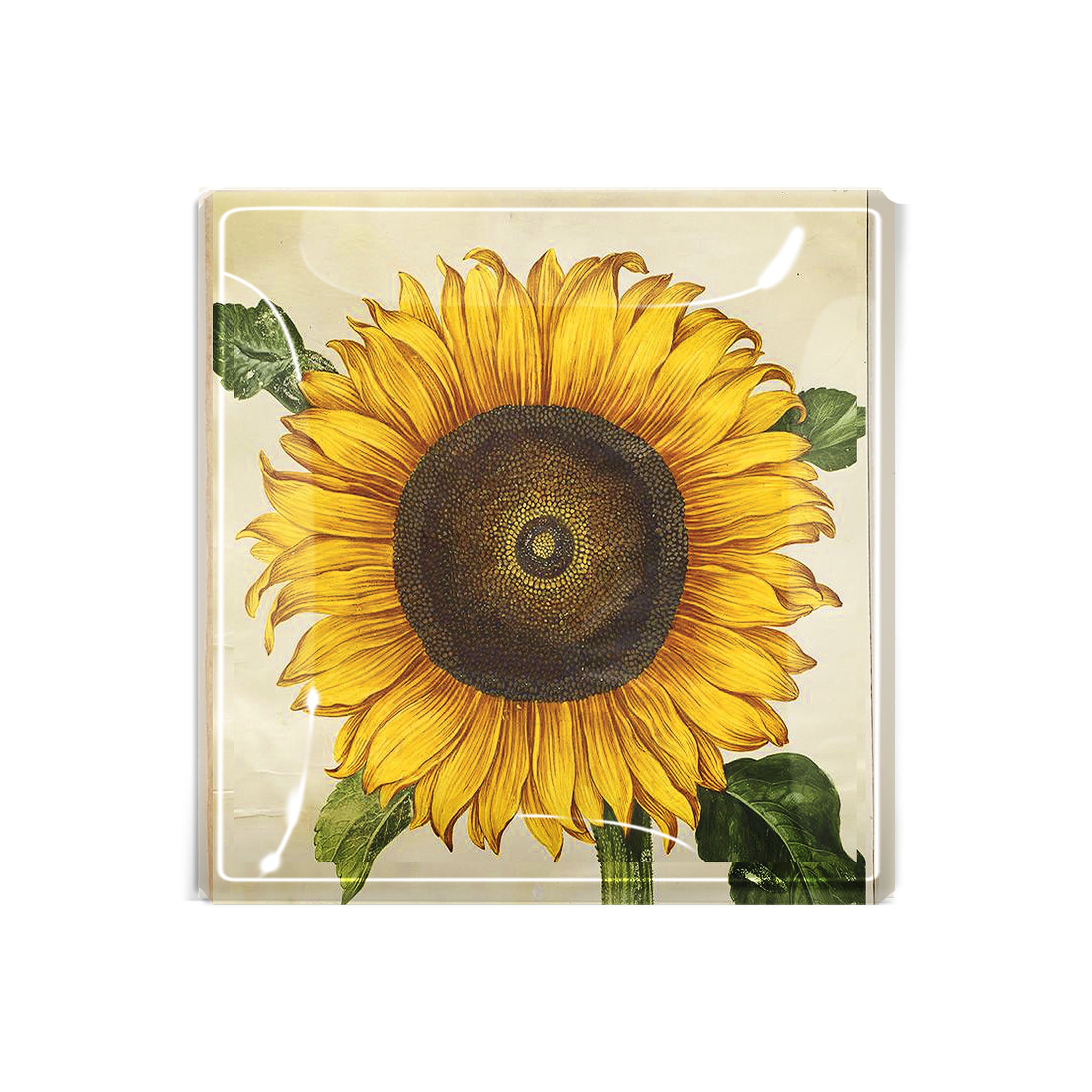 Ben's garden Sunflower Decoupage Glass Tray on a white background