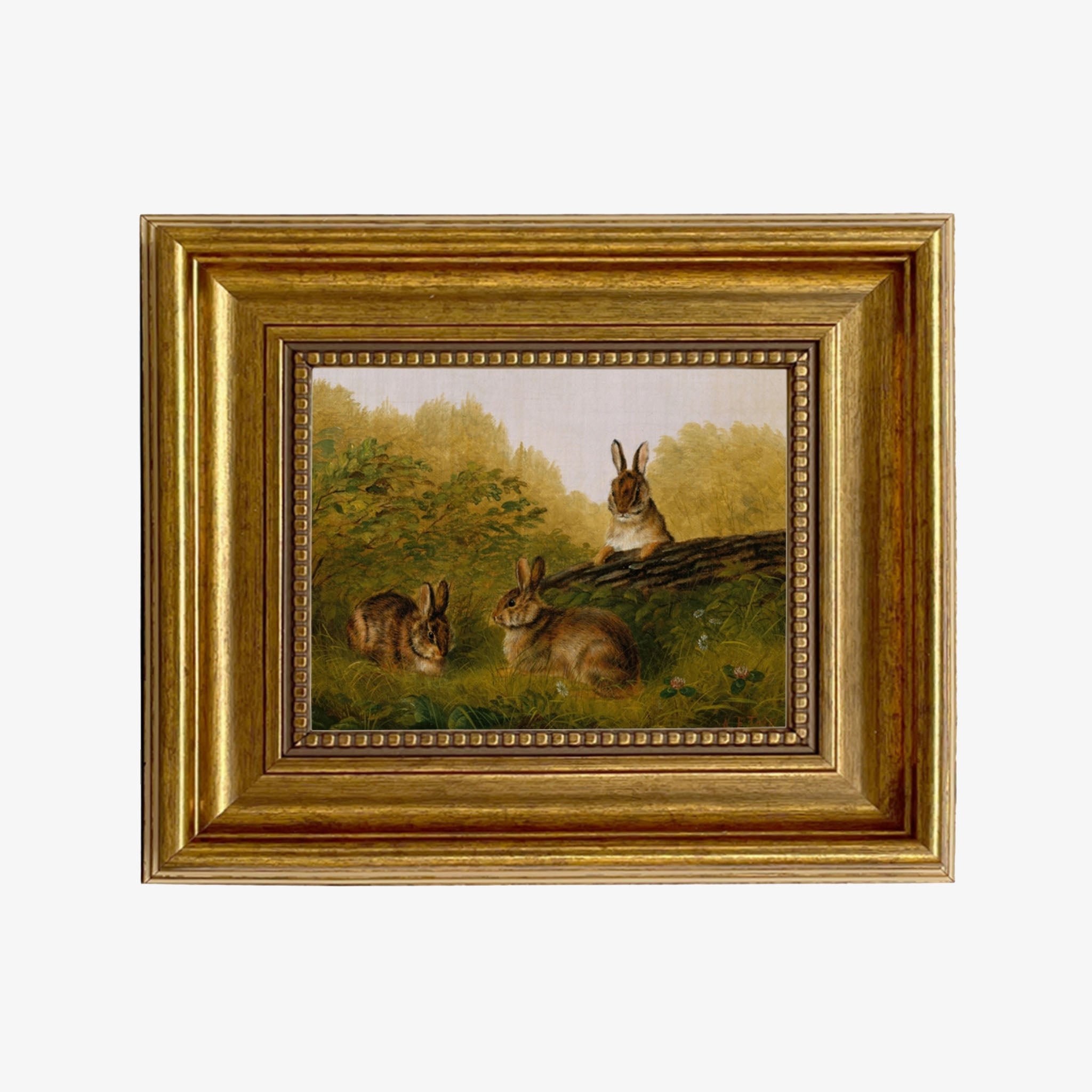 Bunnies in the Field Framed Painting Print On Canvas - Addison West