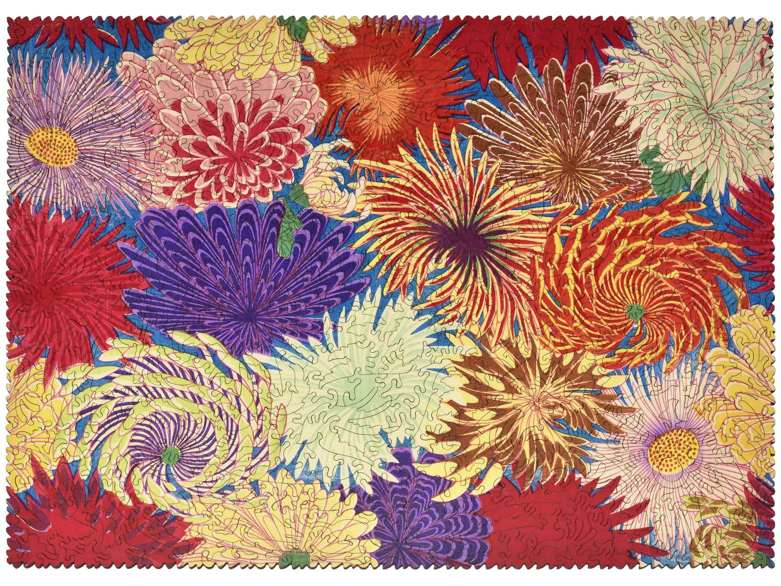 Liberty Puzzle Chrysanthemums at Addison West