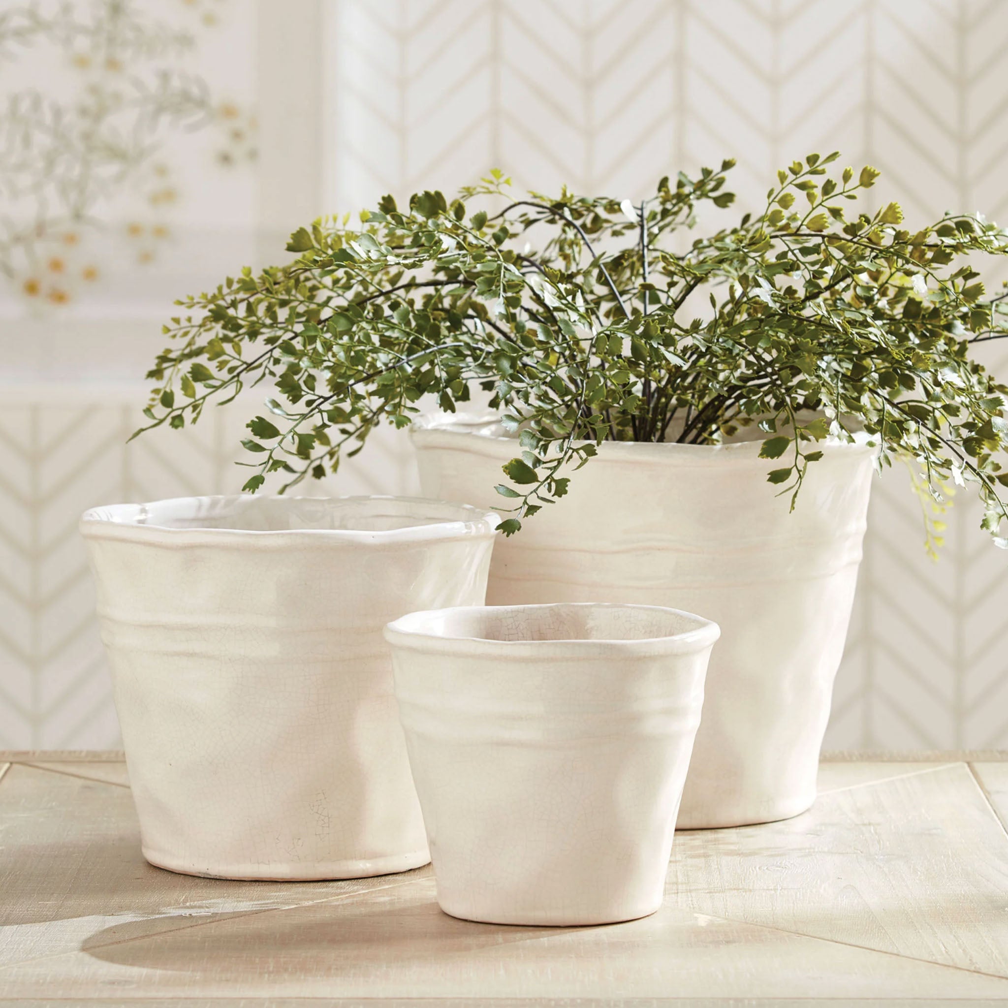 Medium Conservatory Organic Tapered Pot on a table at Addison West