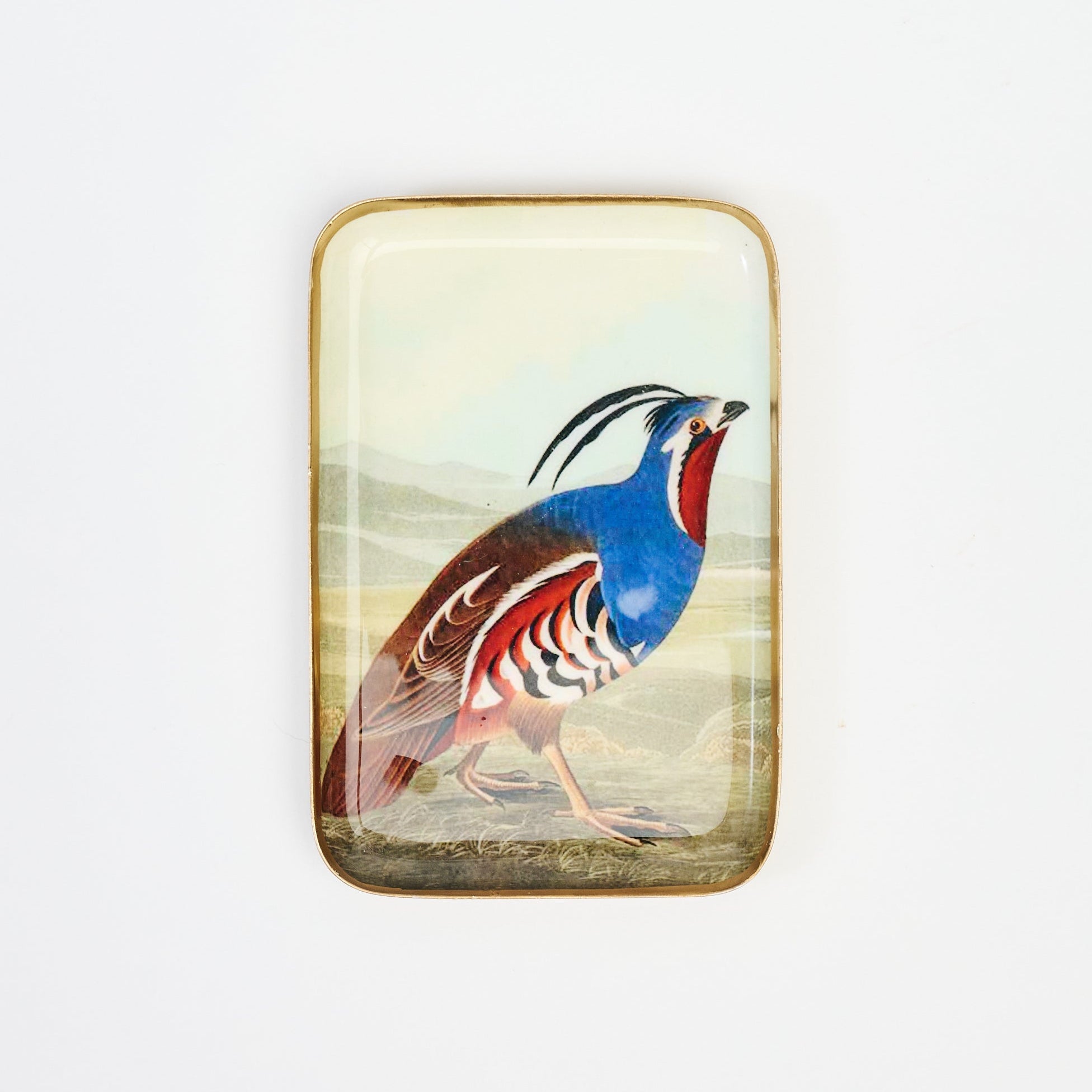 California Quail Trinket Tray 2 on a white background at Addison West