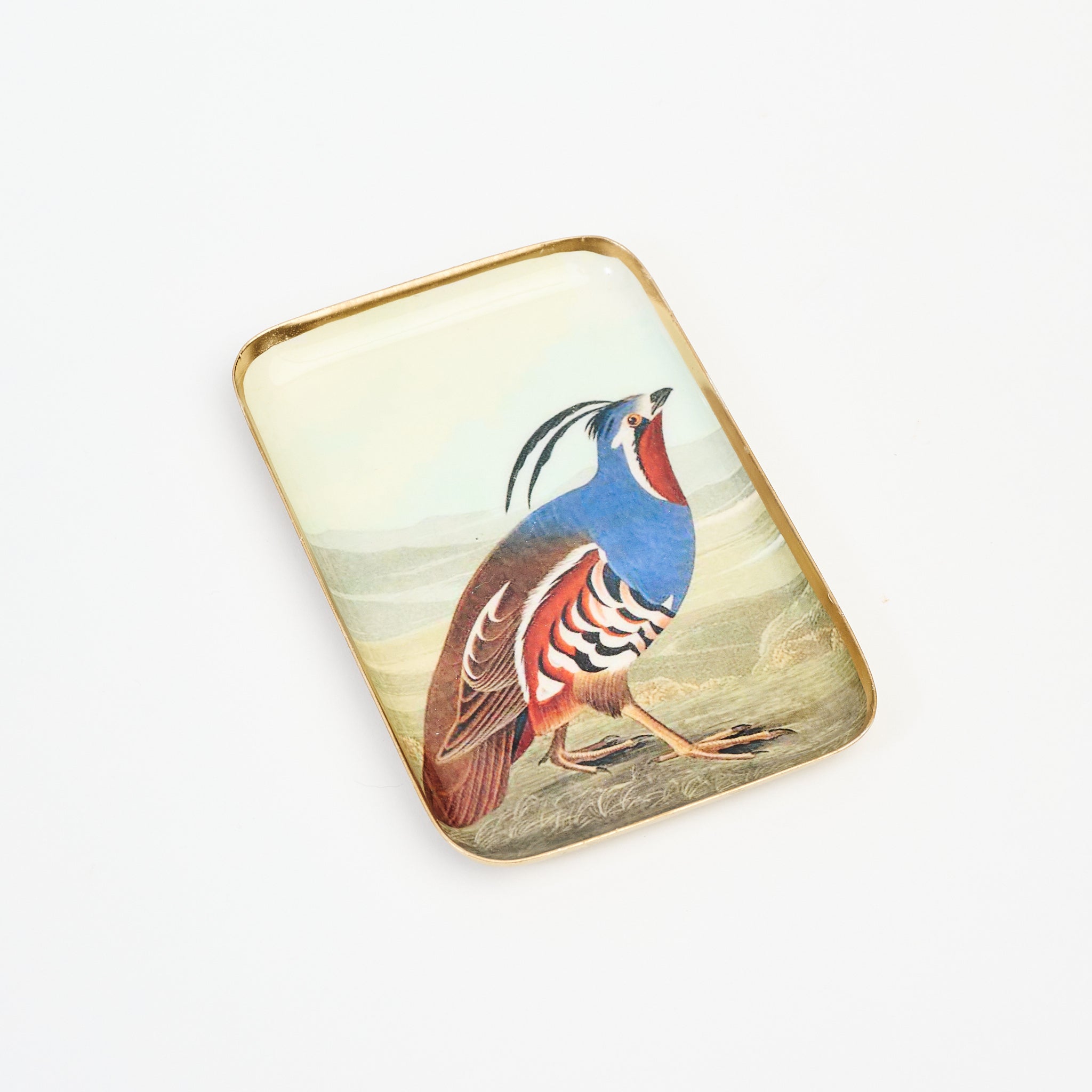 California Quail Trinket Tray 2 on a white background at Addison West