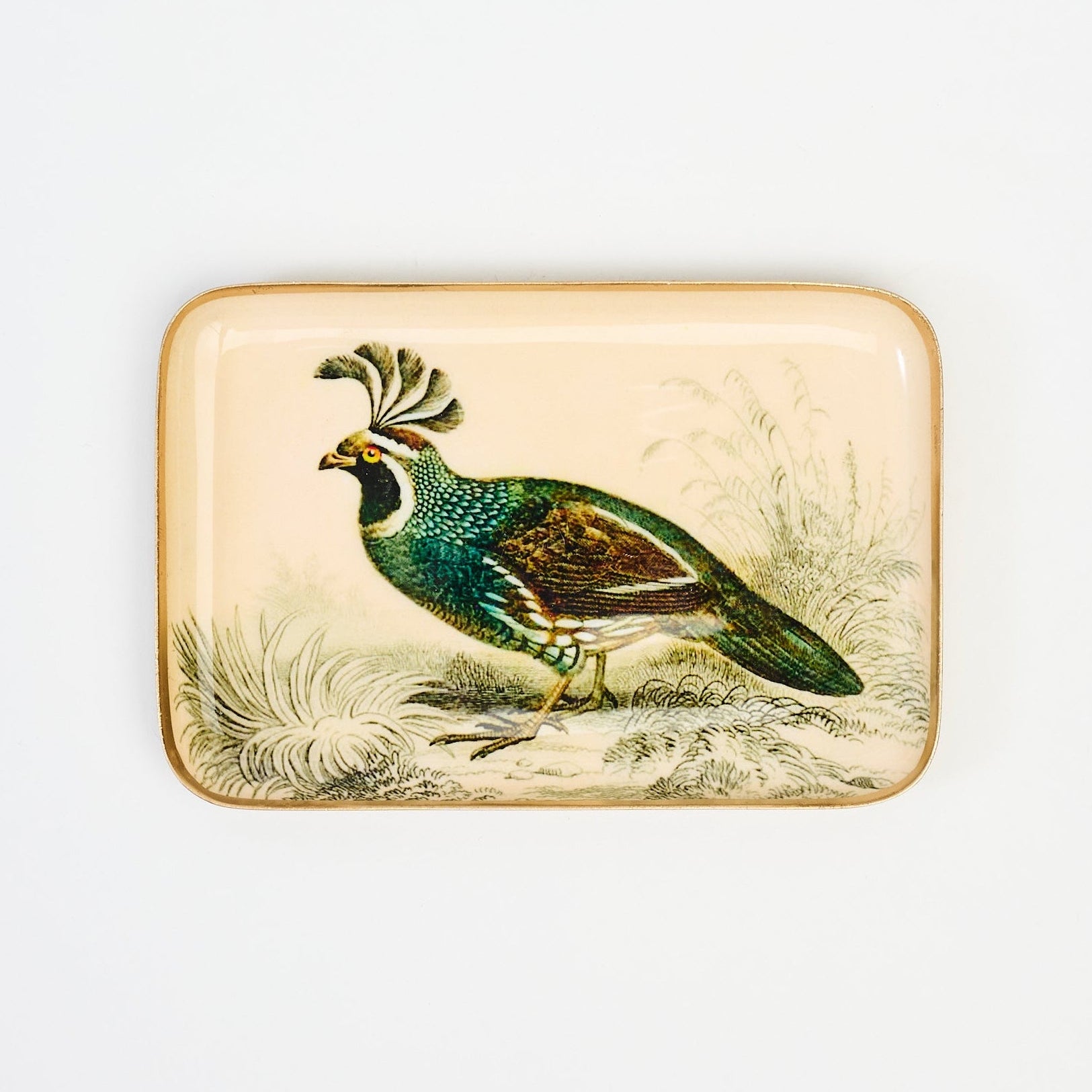 California Quail Trinket Tray 1 on a white background at Addison West