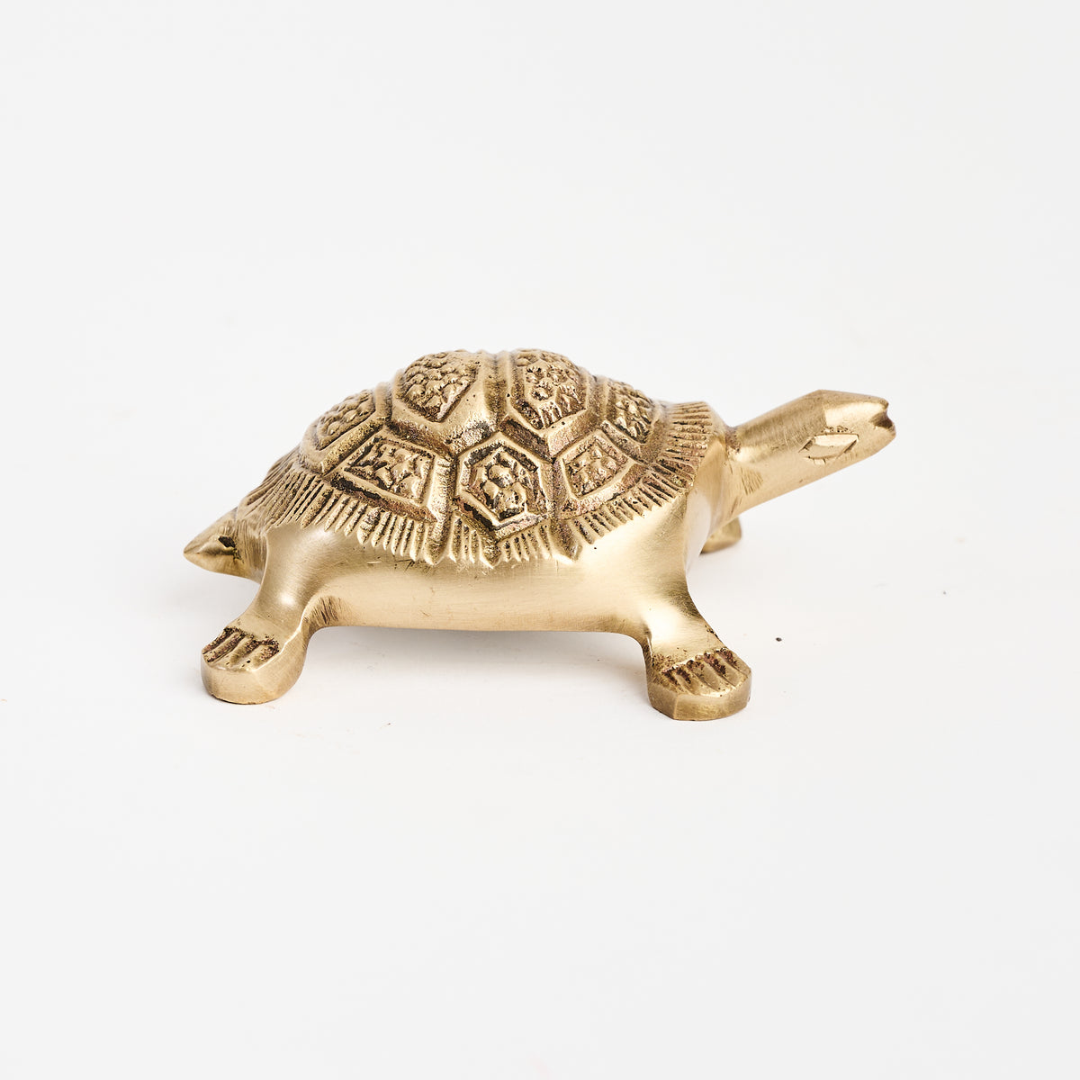 Brass Turtle Bottle Opener on a white background at Addison West