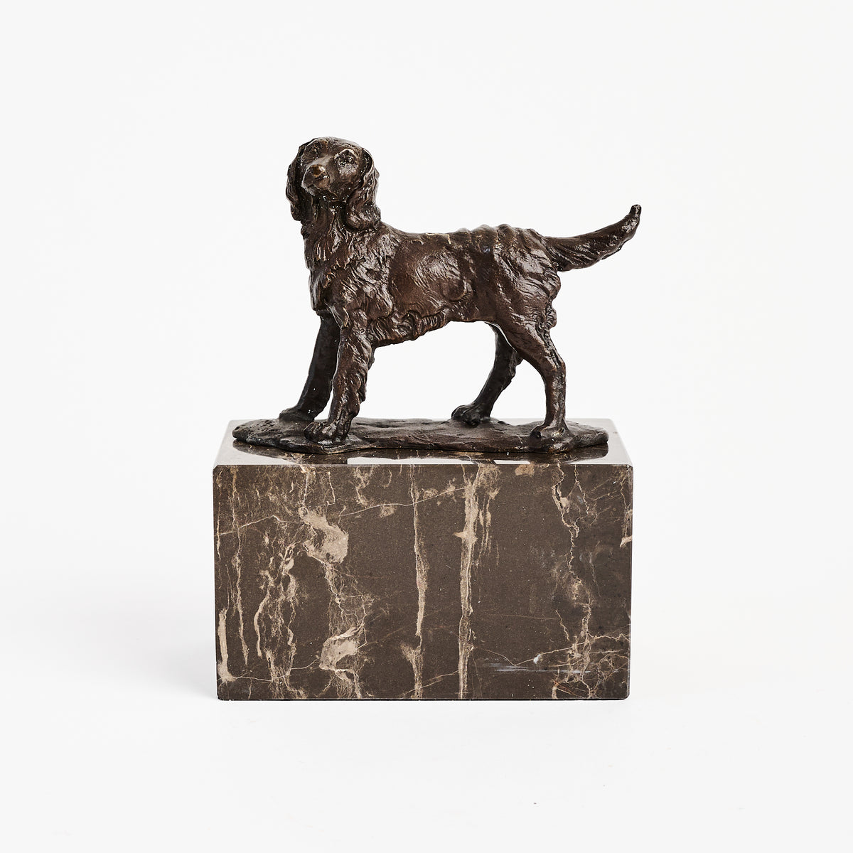 Bronze Dog Statue on Marble Block on a white background at Addison West