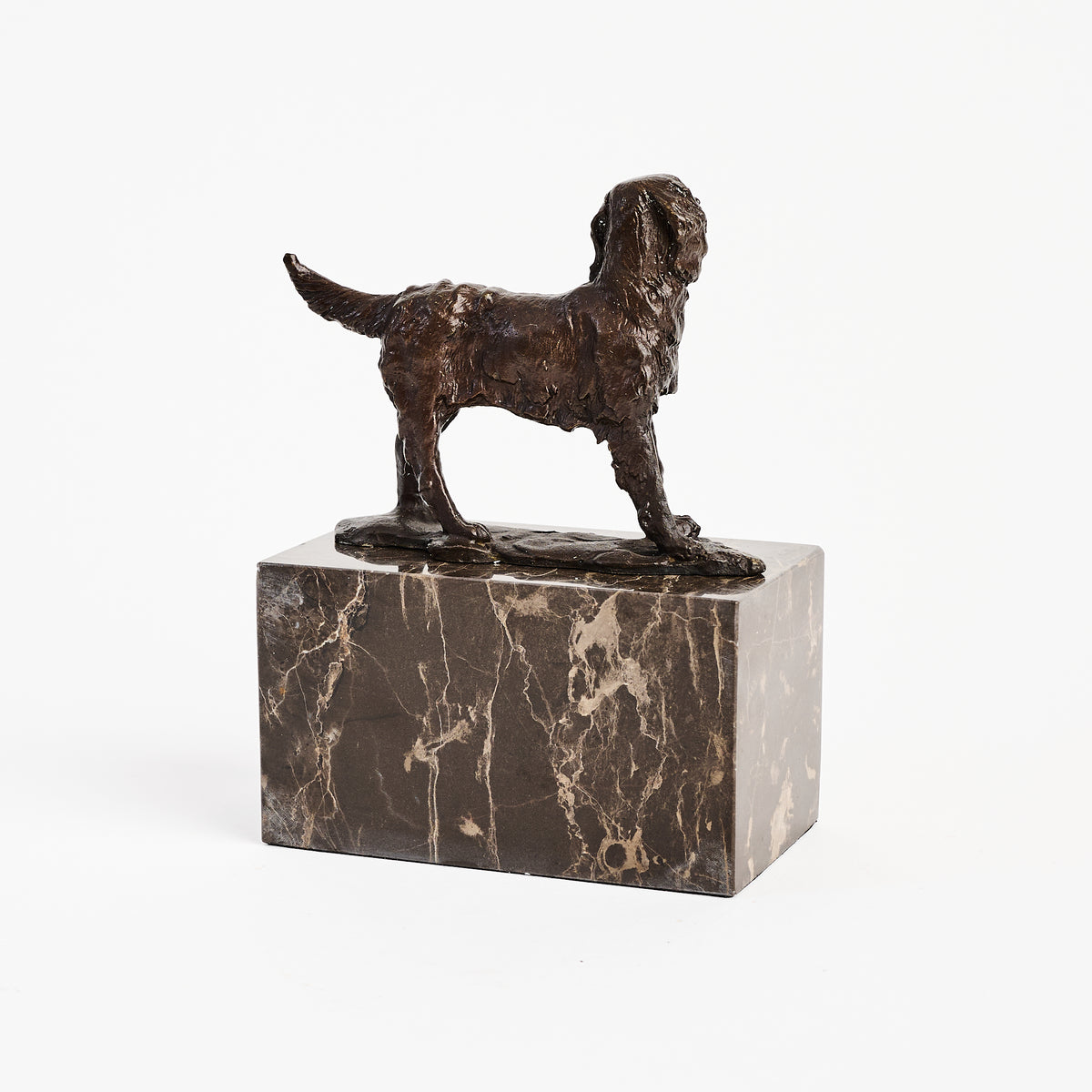 Bronze Dog Statue on Marble Block on a white background at Addison West