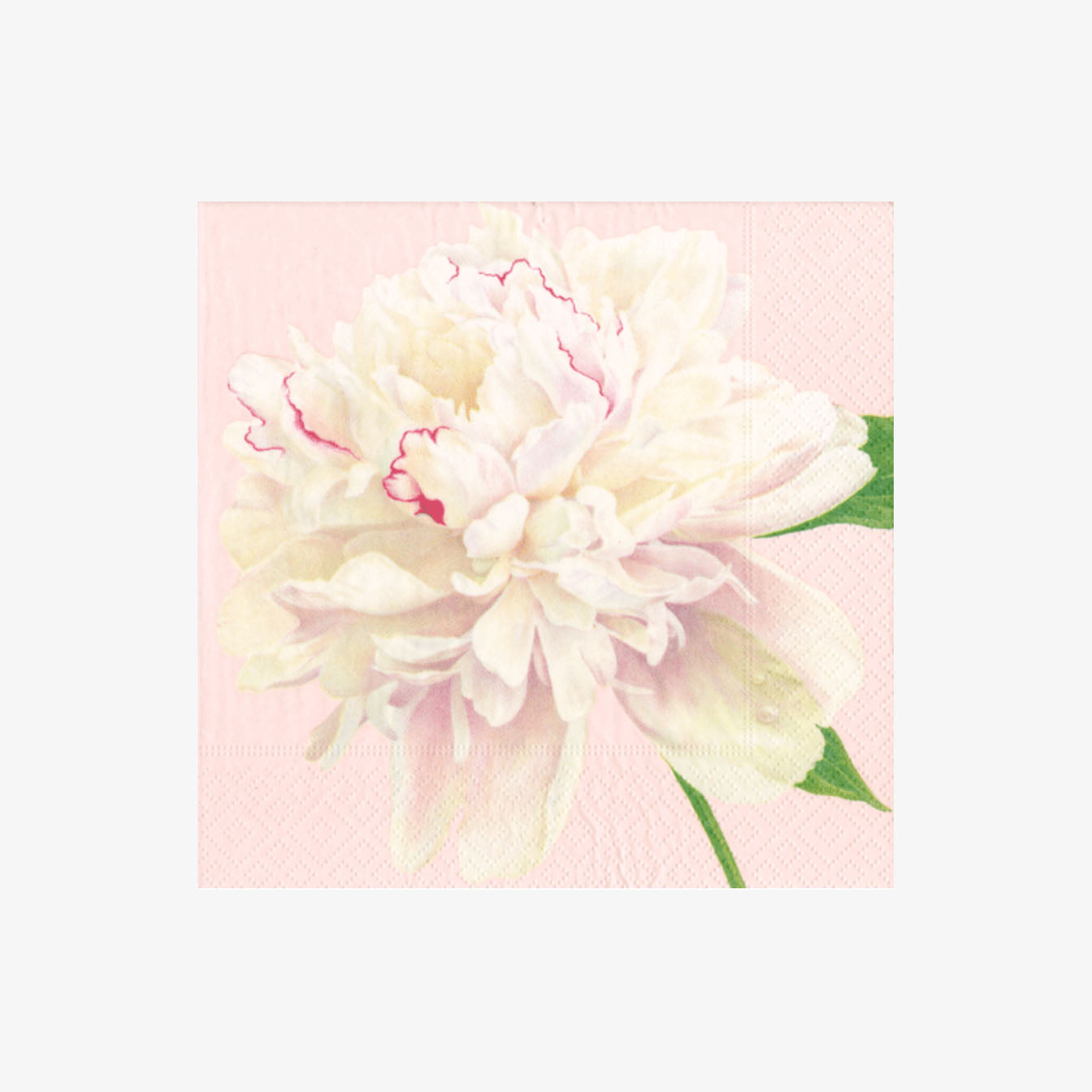 Caspari Duchess Peonies Cocktail Napkins on a white background