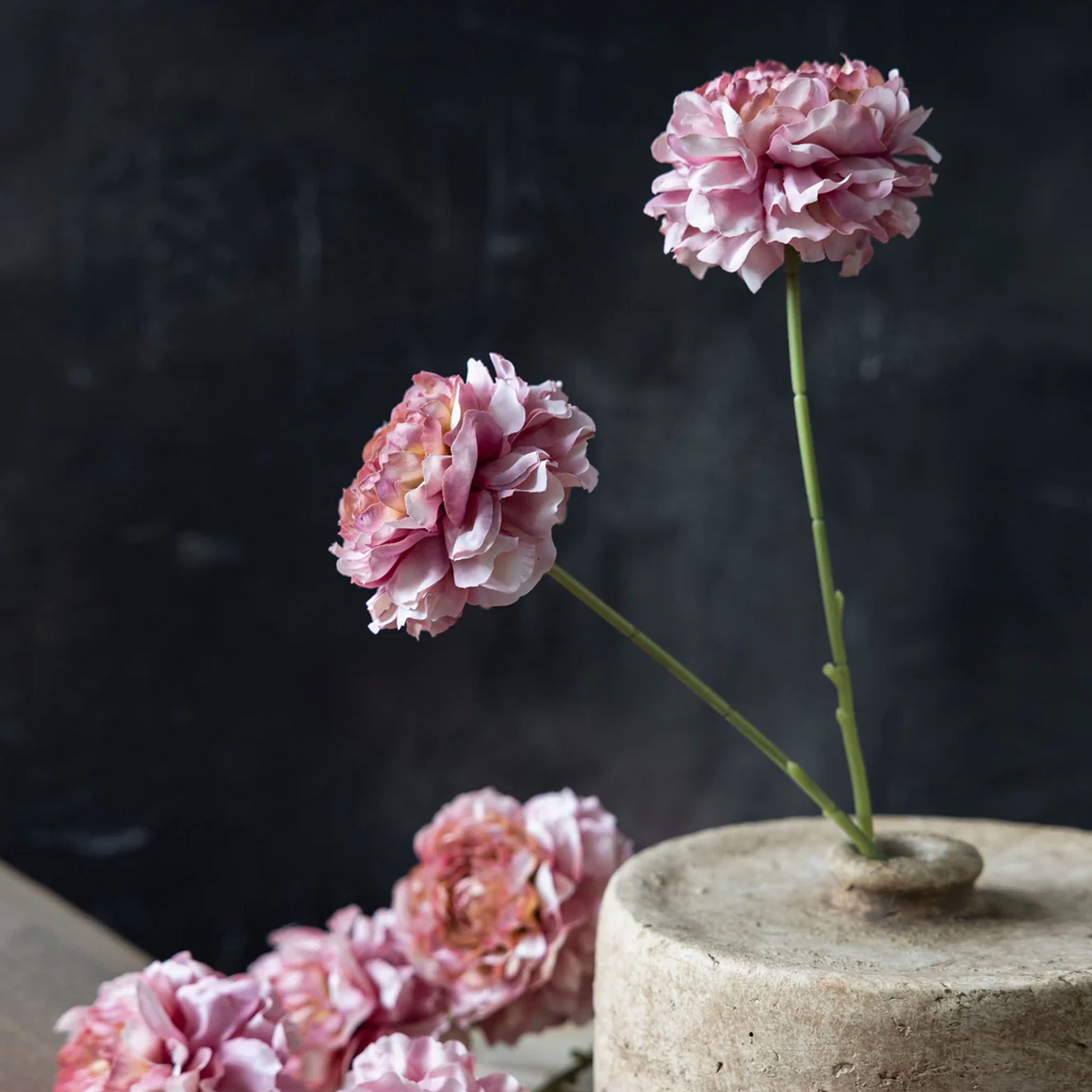 Abigail Ahern Faux Carnation in Blush on a grey background at Addison West