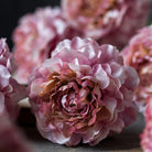 Abigail Ahern Faux Carnation in Blush on a grey background at Addison West
