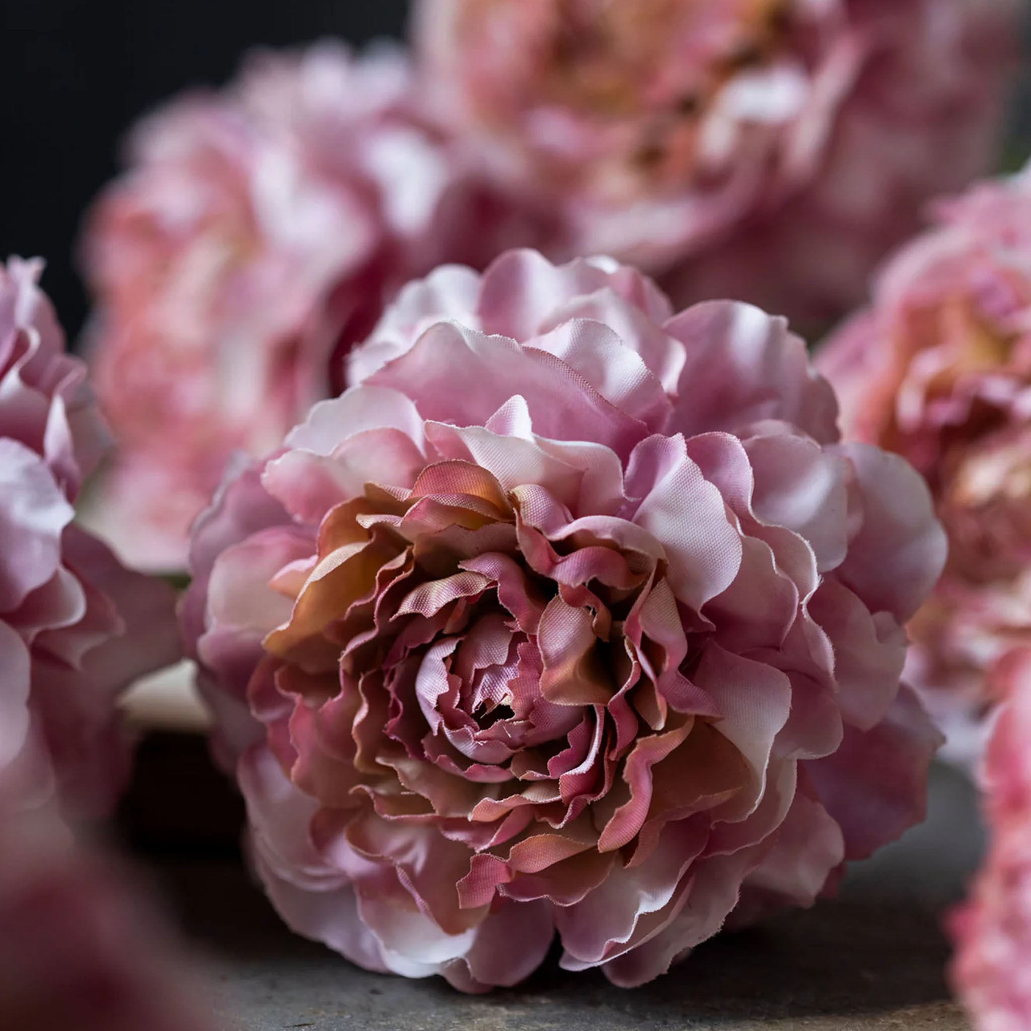 Abigail Ahern Faux Carnation in Blush on a grey background at Addison West