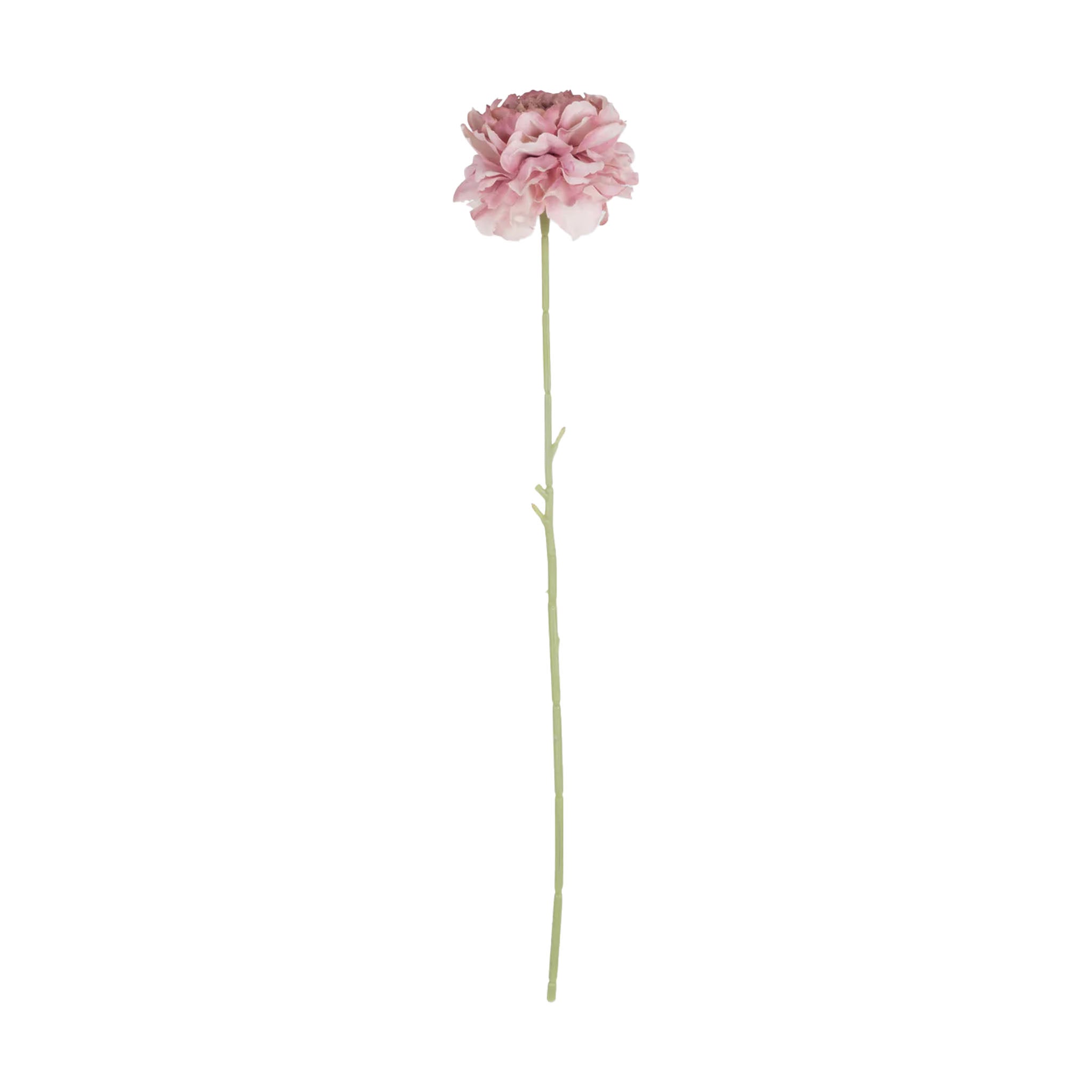 Abigail Ahern Faux Carnation in Blush on a white background at Addison West