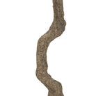 Close up of Faux Olive Tree on a white background at Addison West