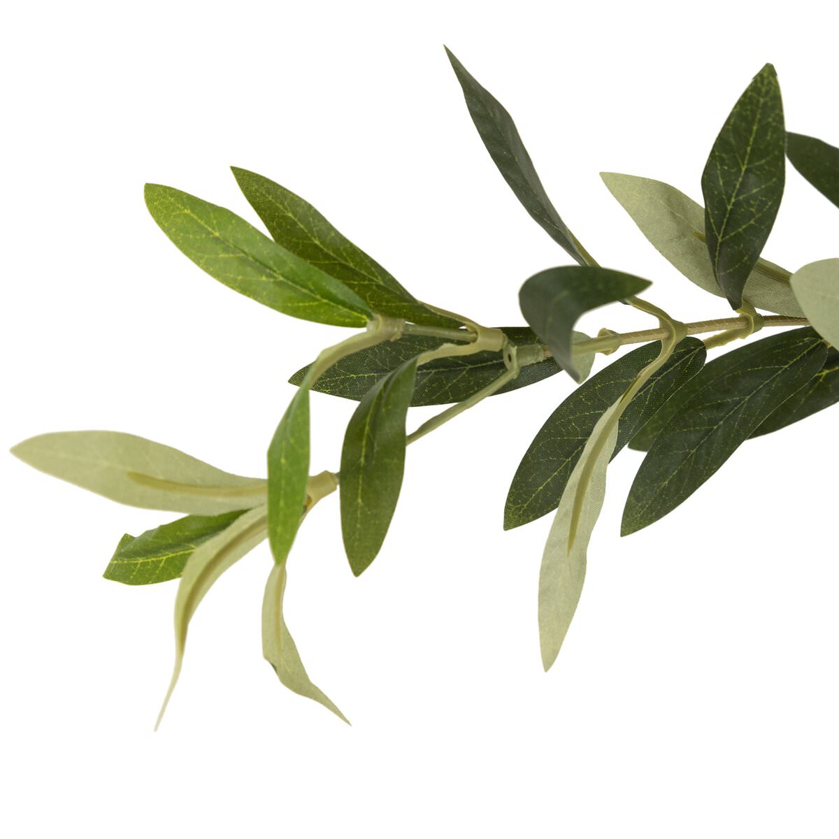 Close up of Faux Olive Tree on a white background at Addison West