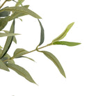Close up of Faux Olive Tree on a white background at Addison West